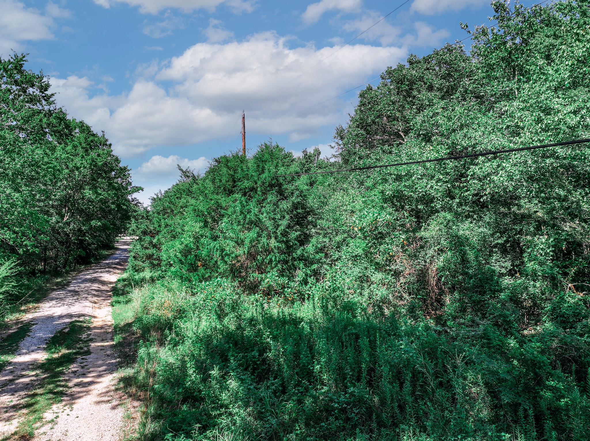 Tbd County Road 1909 Canton TX 75117