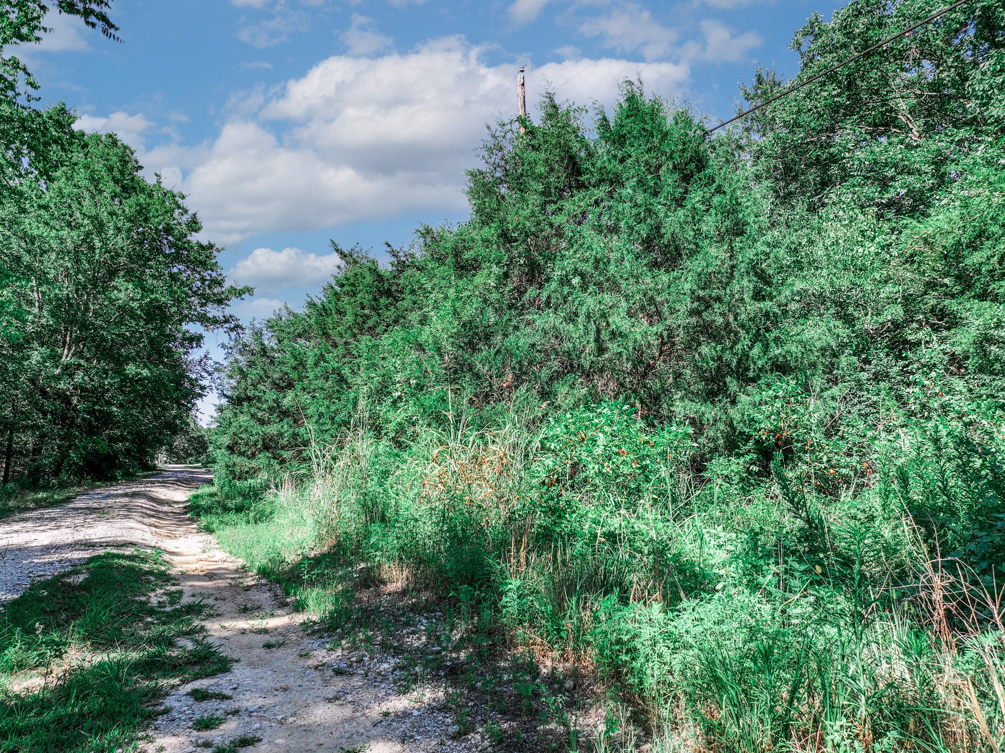 Tbd County Road 1909 Canton TX 75117