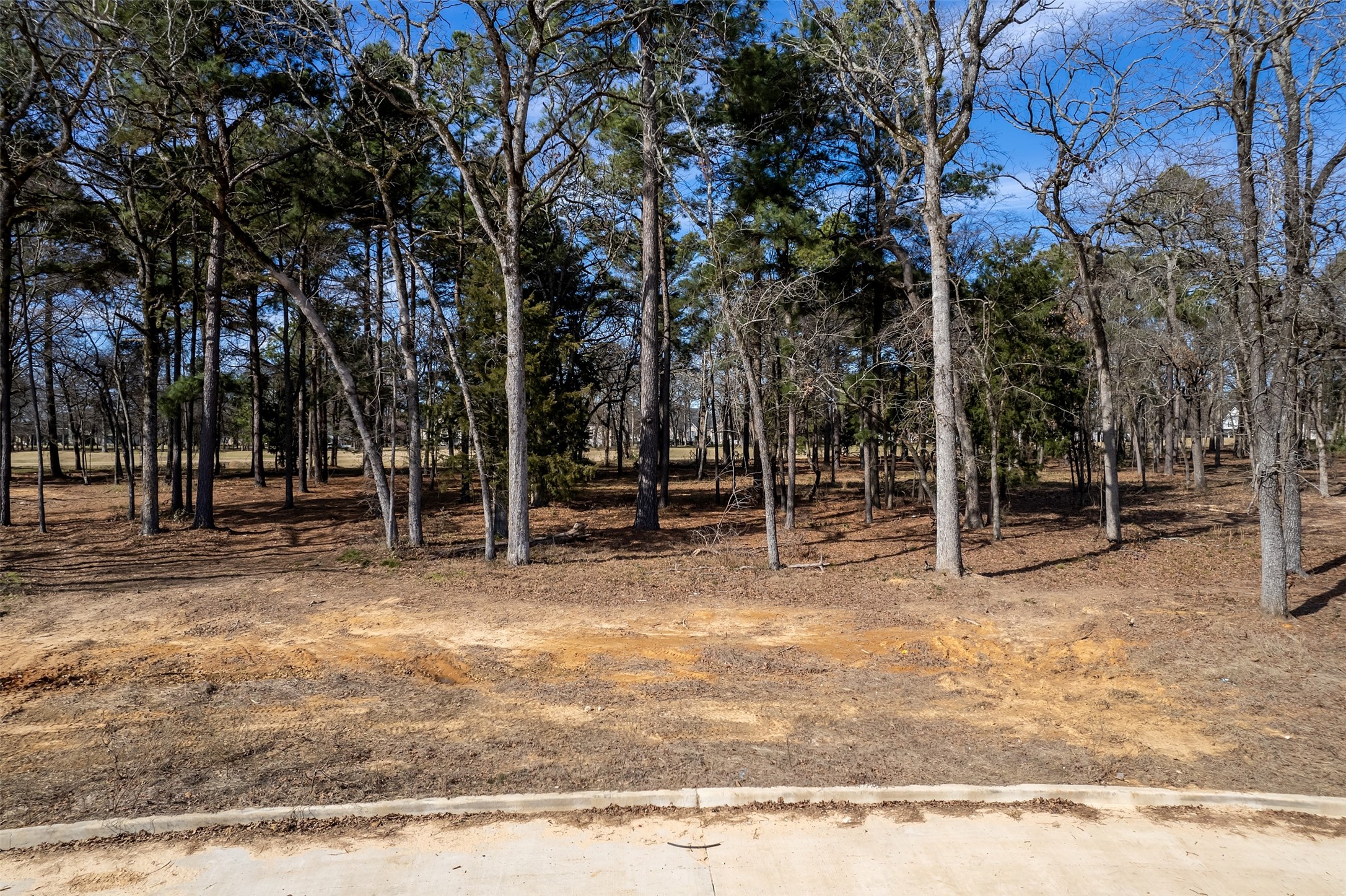 Lot 12 Deer Lake Lane Bullard TX 75757