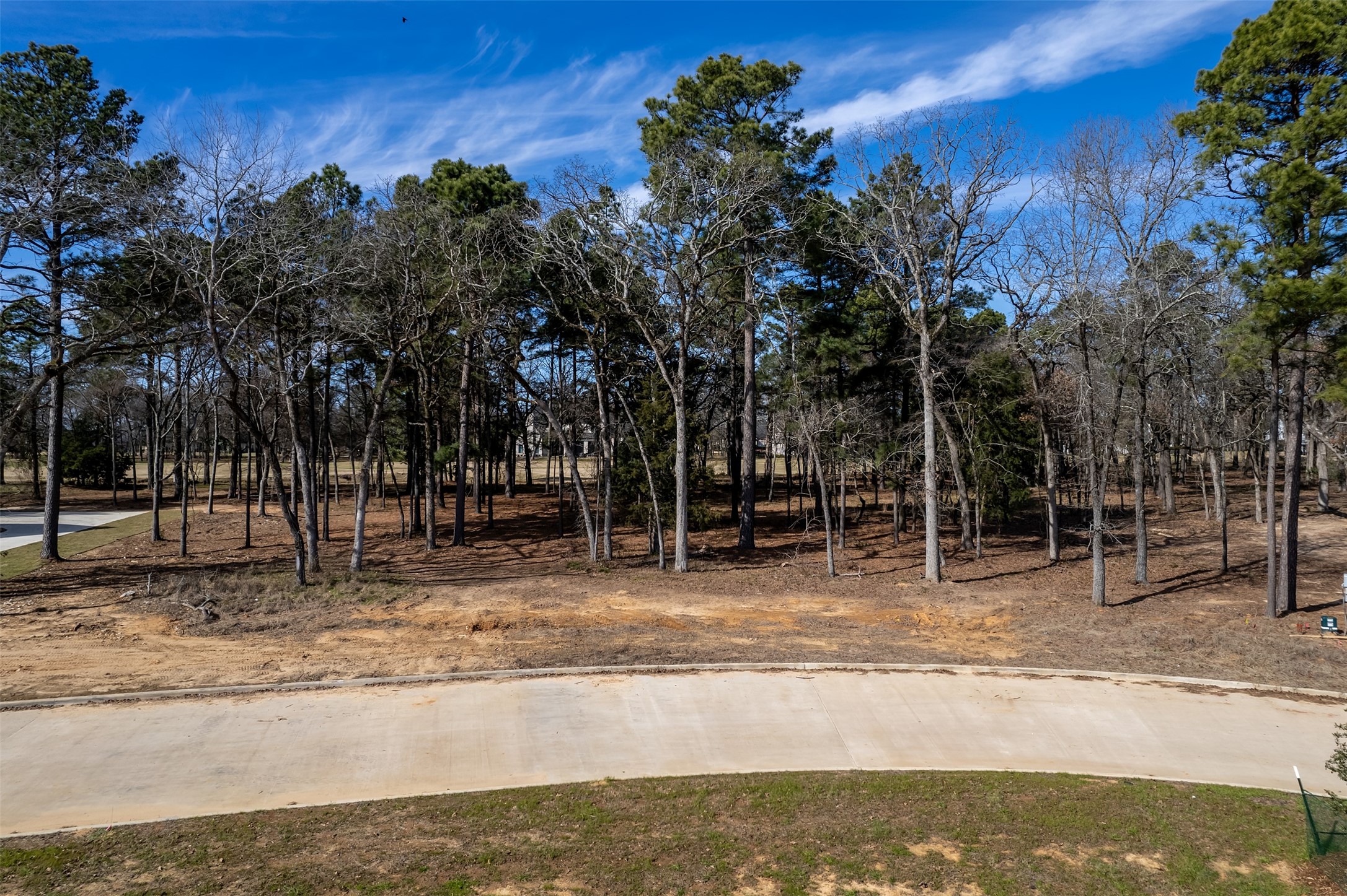 Lot 12 Deer Lake Lane Bullard TX 75757