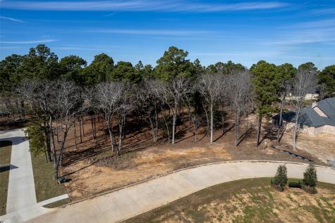 Lot 12 Deer Lake Lane Bullard TX 75757