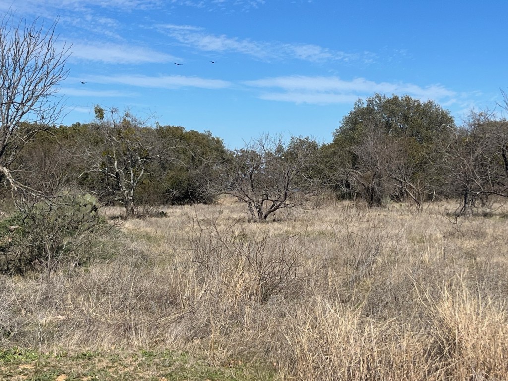 TBD1 Summer Wind Drive Brownwood TX 76801