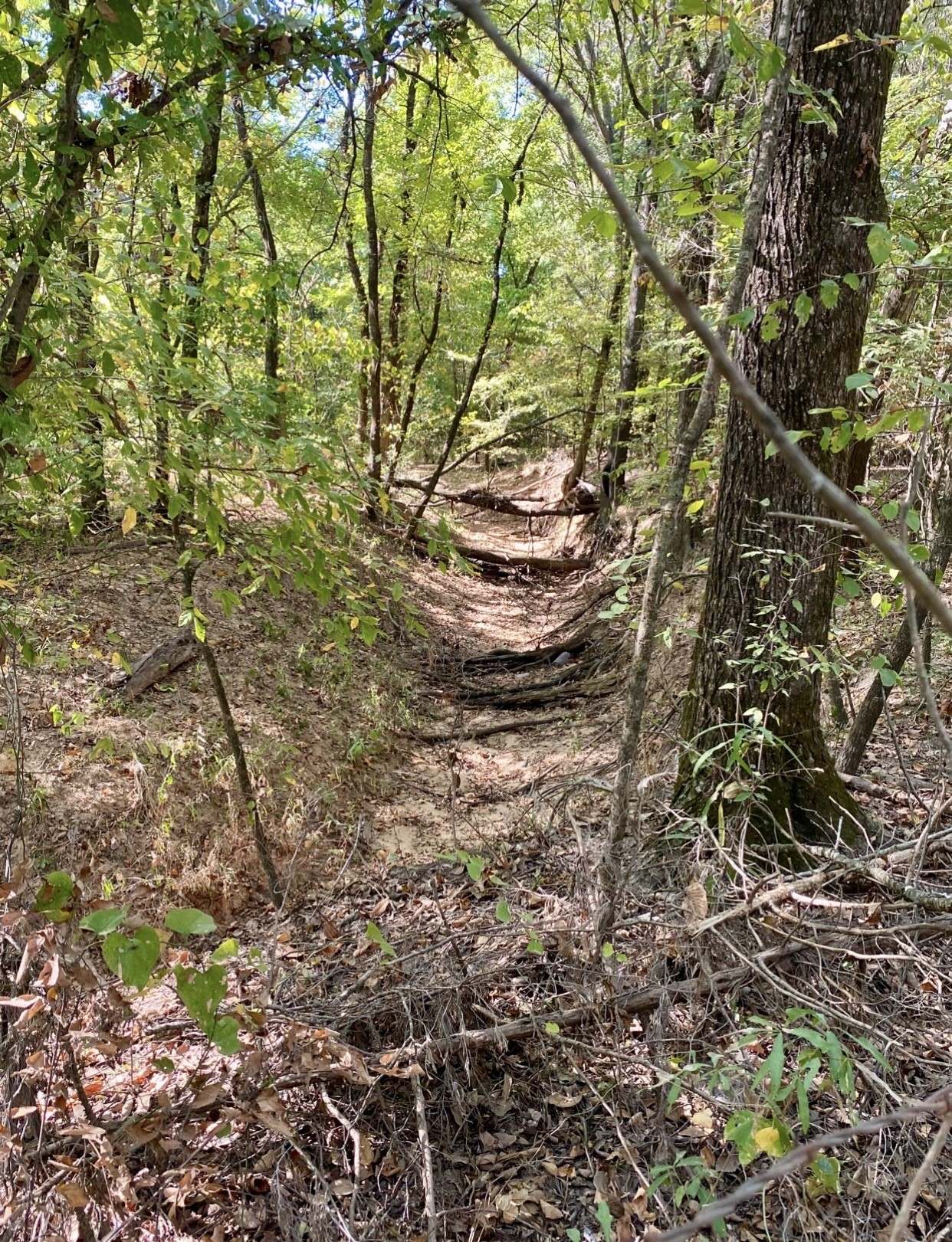 Tbd County Road 2615 Bonham TX 75418
