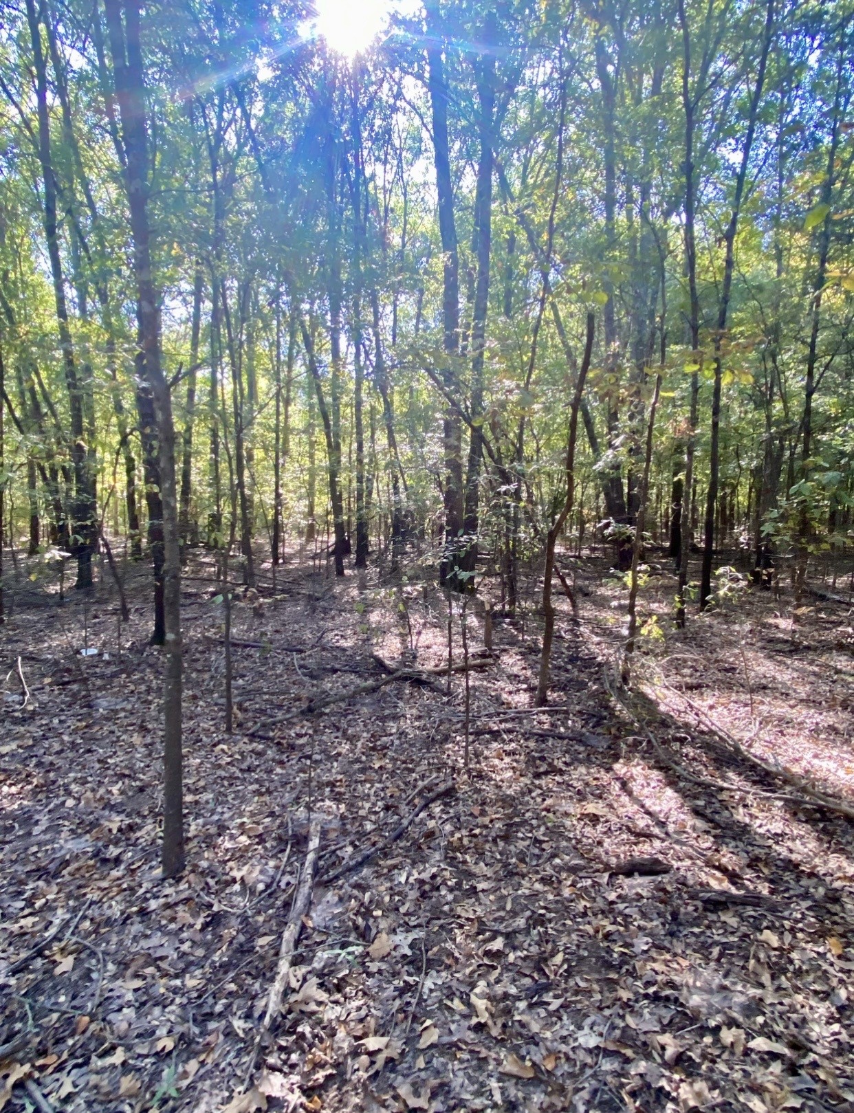Tbd County Road 2615 Bonham TX 75418