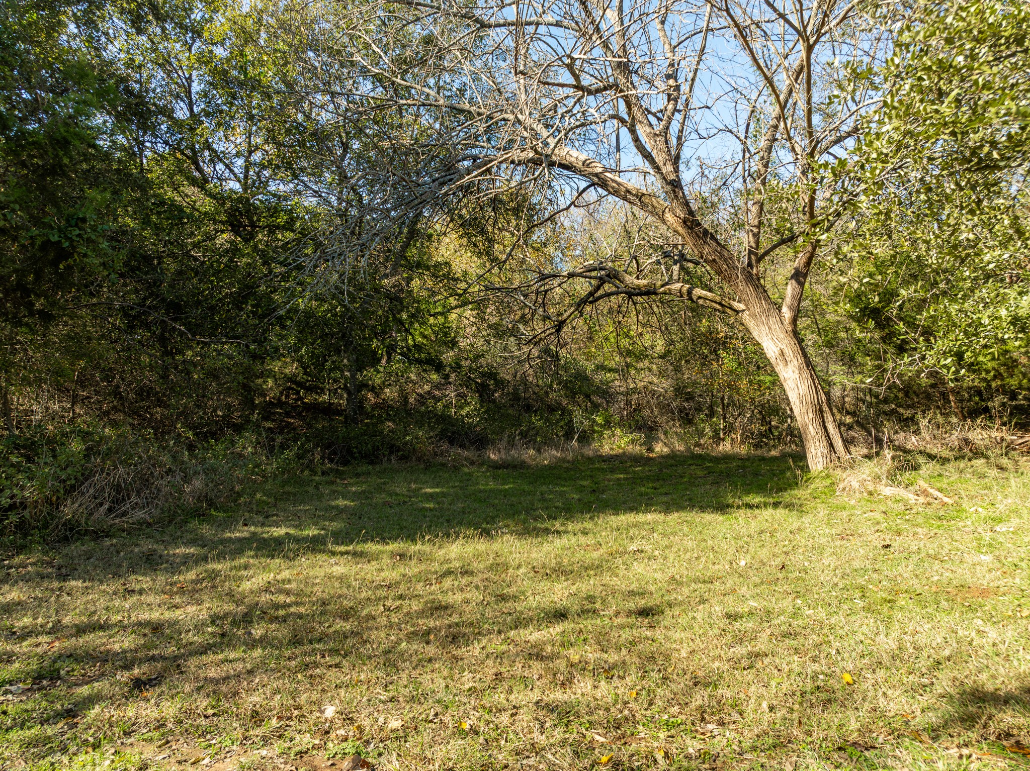 21067 Hidden Oak Court Whitney TX 76692