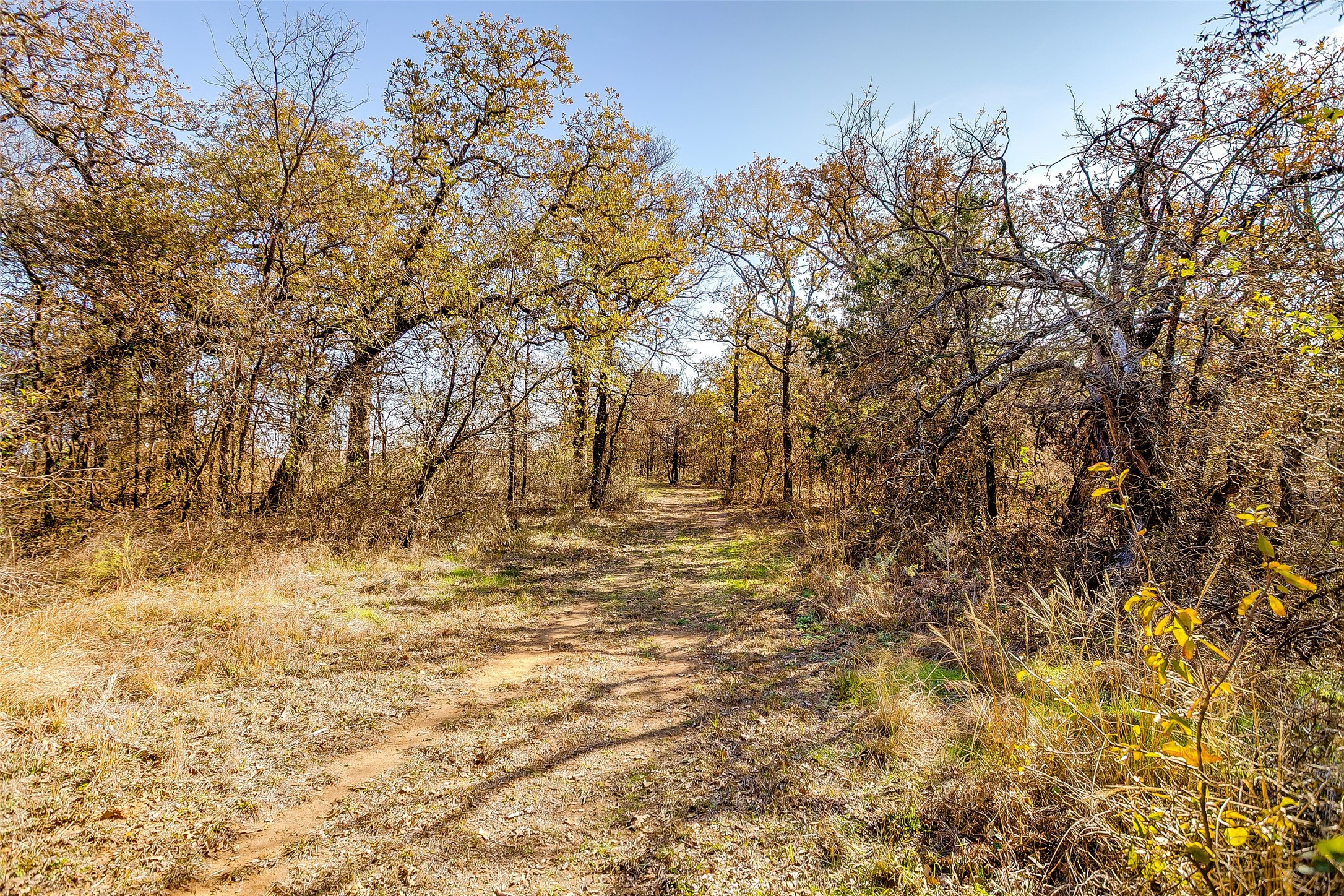 1210 Poe Prairie Road Millsap TX 76066