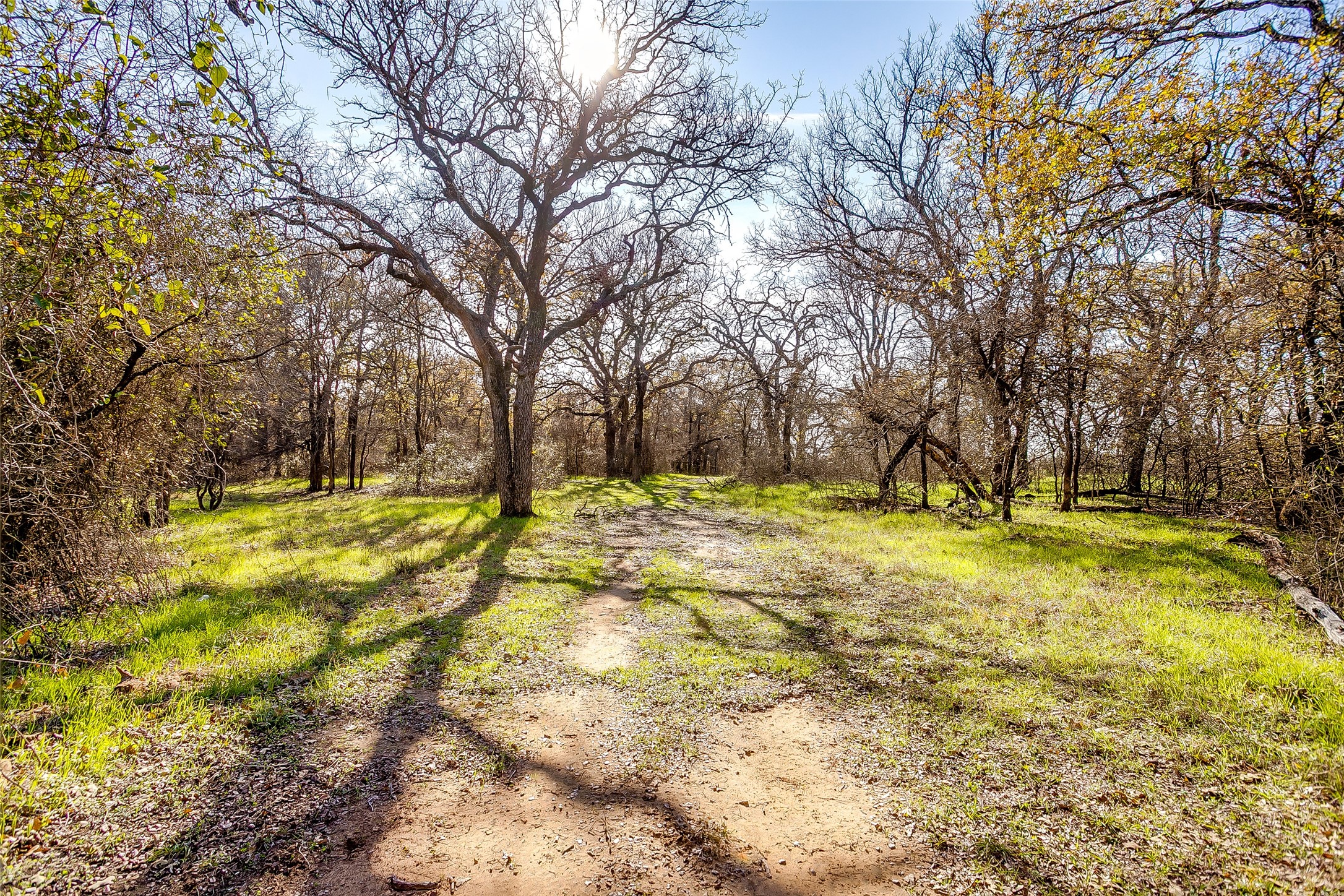 1210 Poe Prairie Road Millsap TX 76066