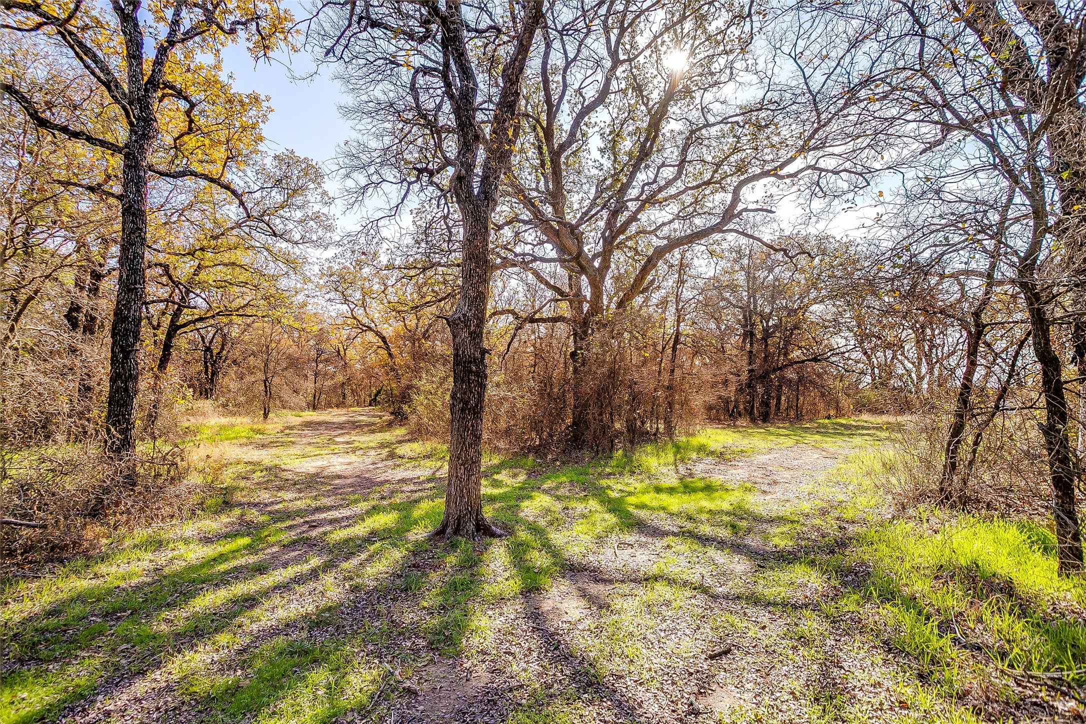 1210 Poe Prairie Road Millsap TX 76066