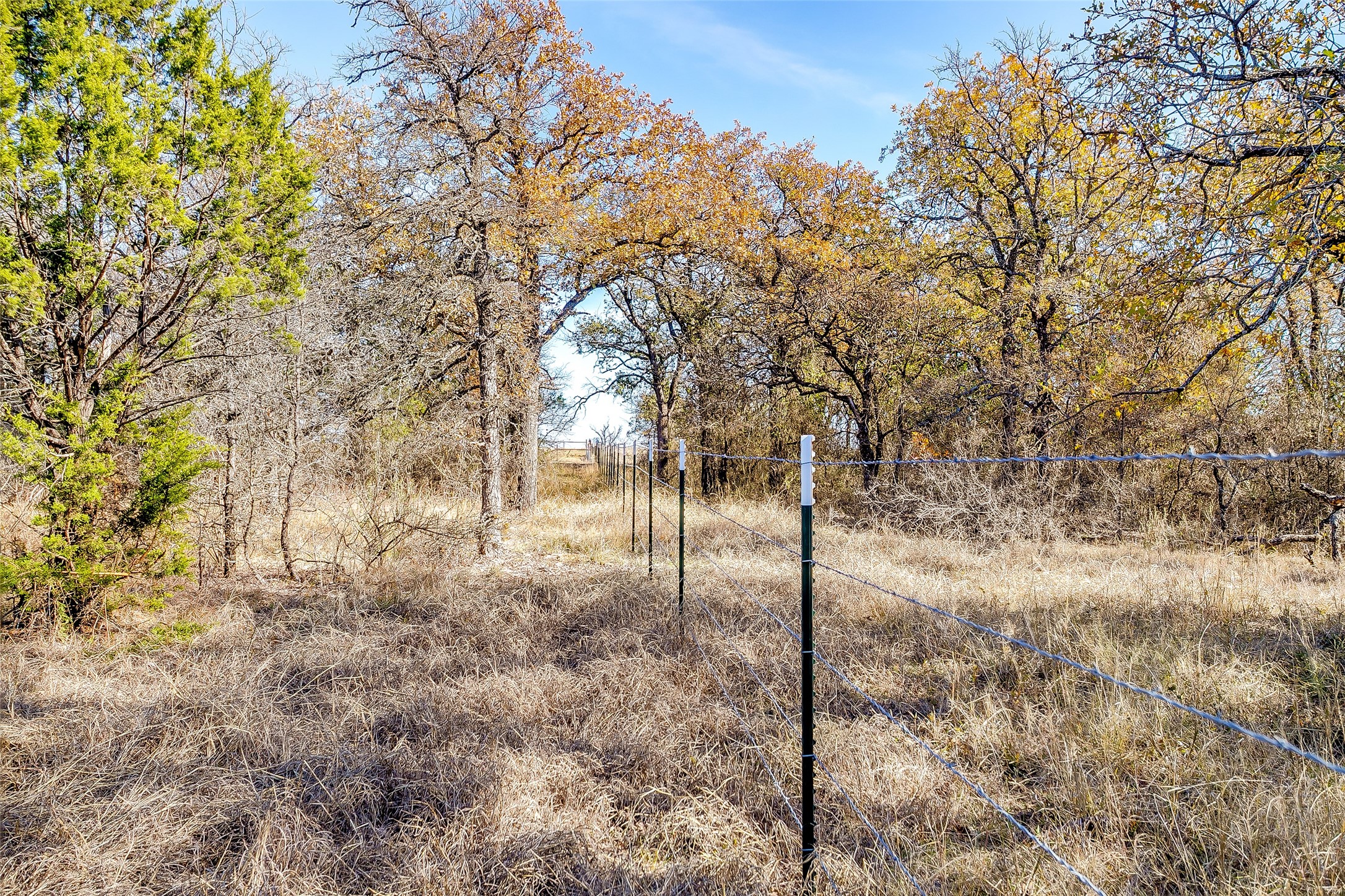 1210 Poe Prairie Road Millsap TX 76066