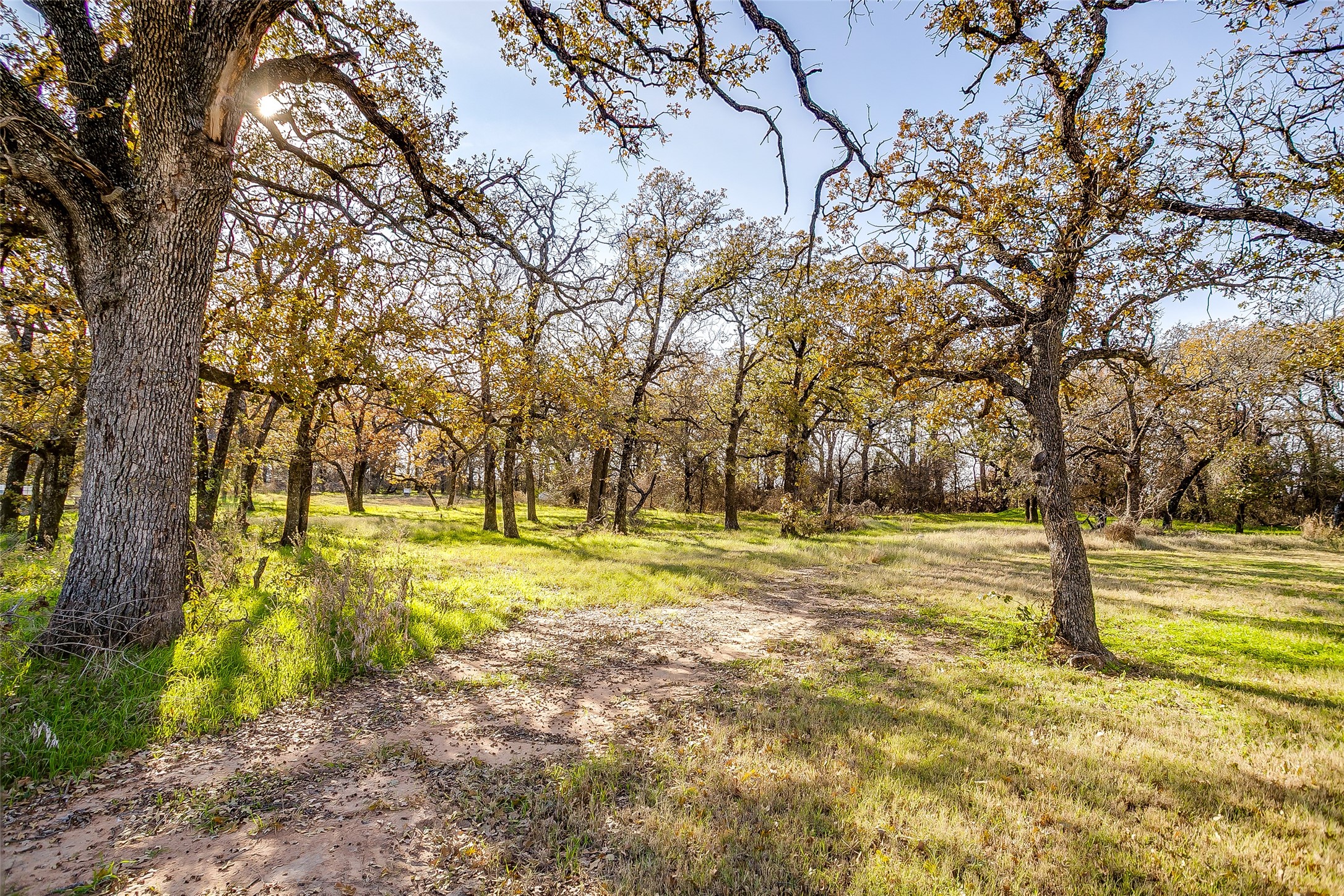 1210 Poe Prairie Road Millsap TX 76066