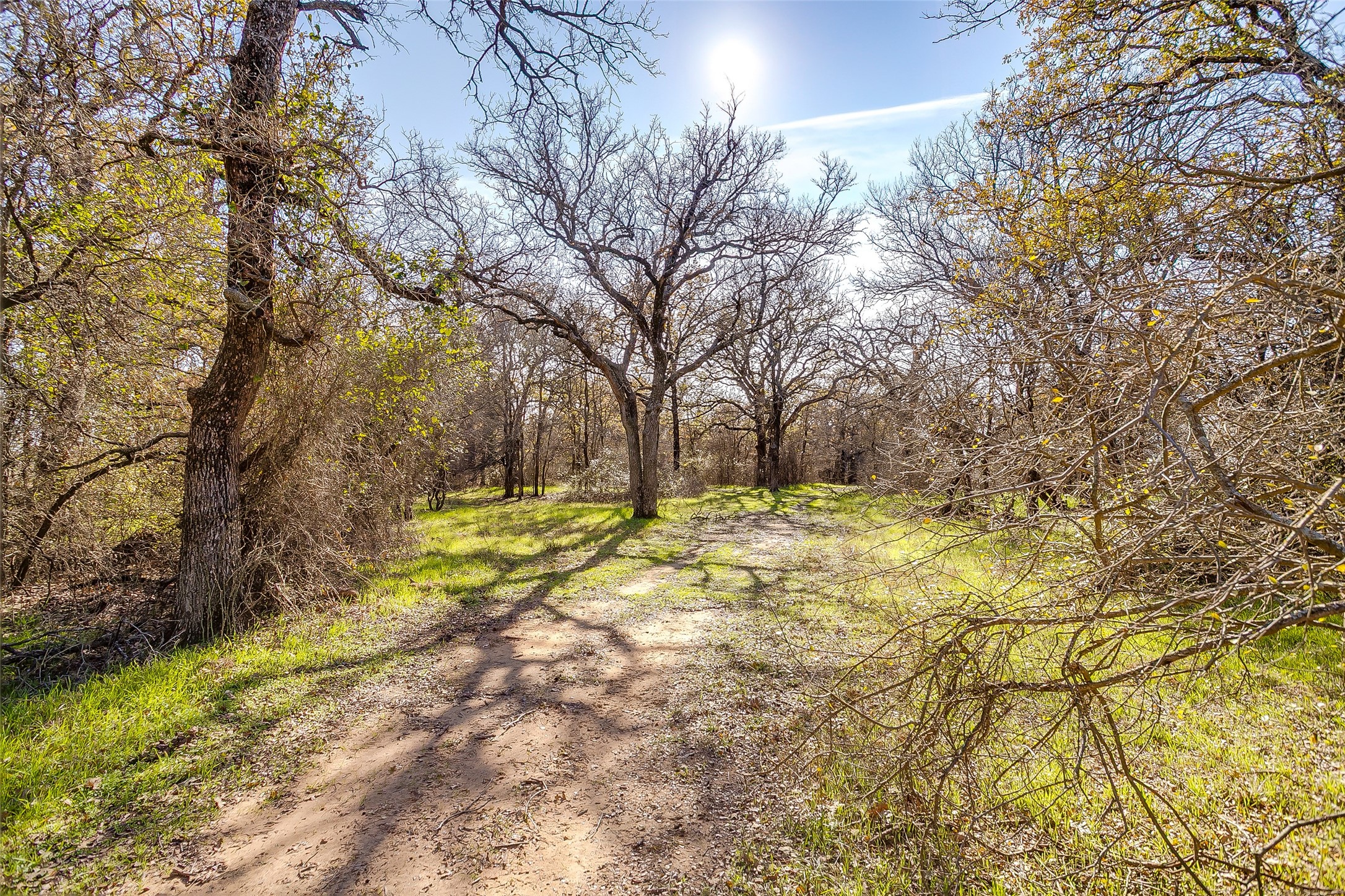 1210 Poe Prairie Road Millsap TX 76066