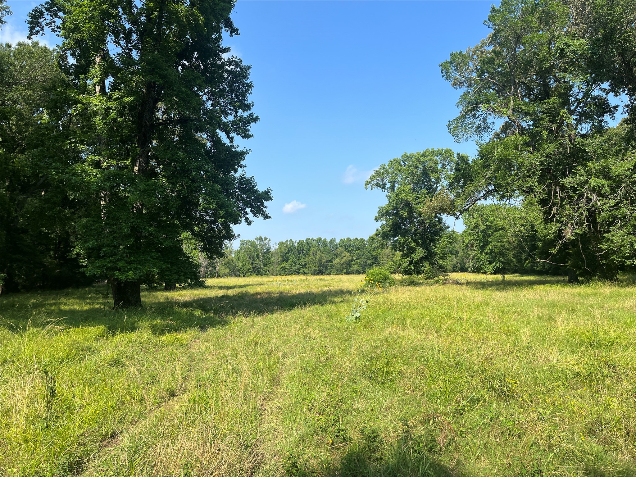 Tbd Highway 135 Troup TX 75789