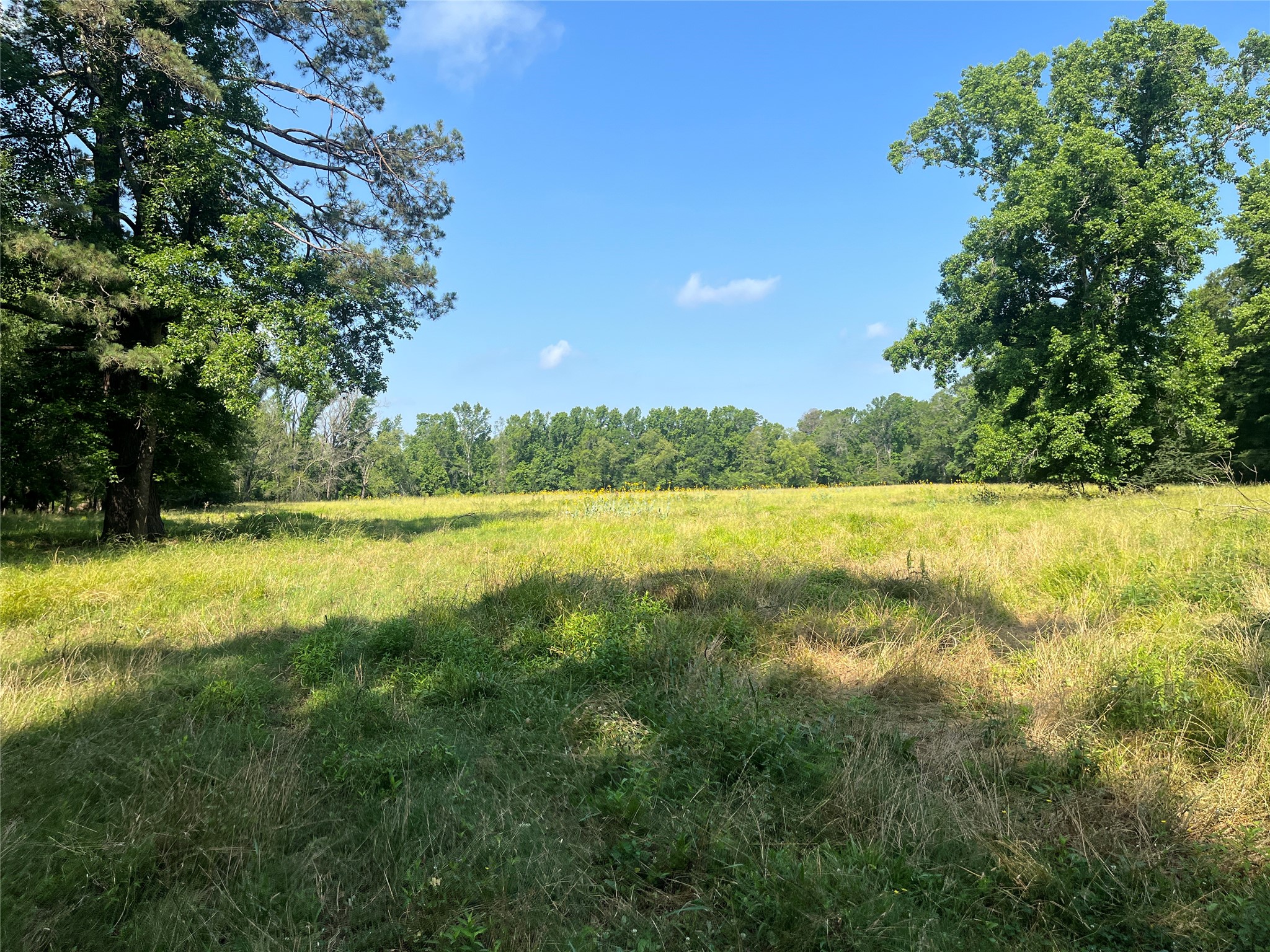 Tbd Highway 135 Troup TX 75789