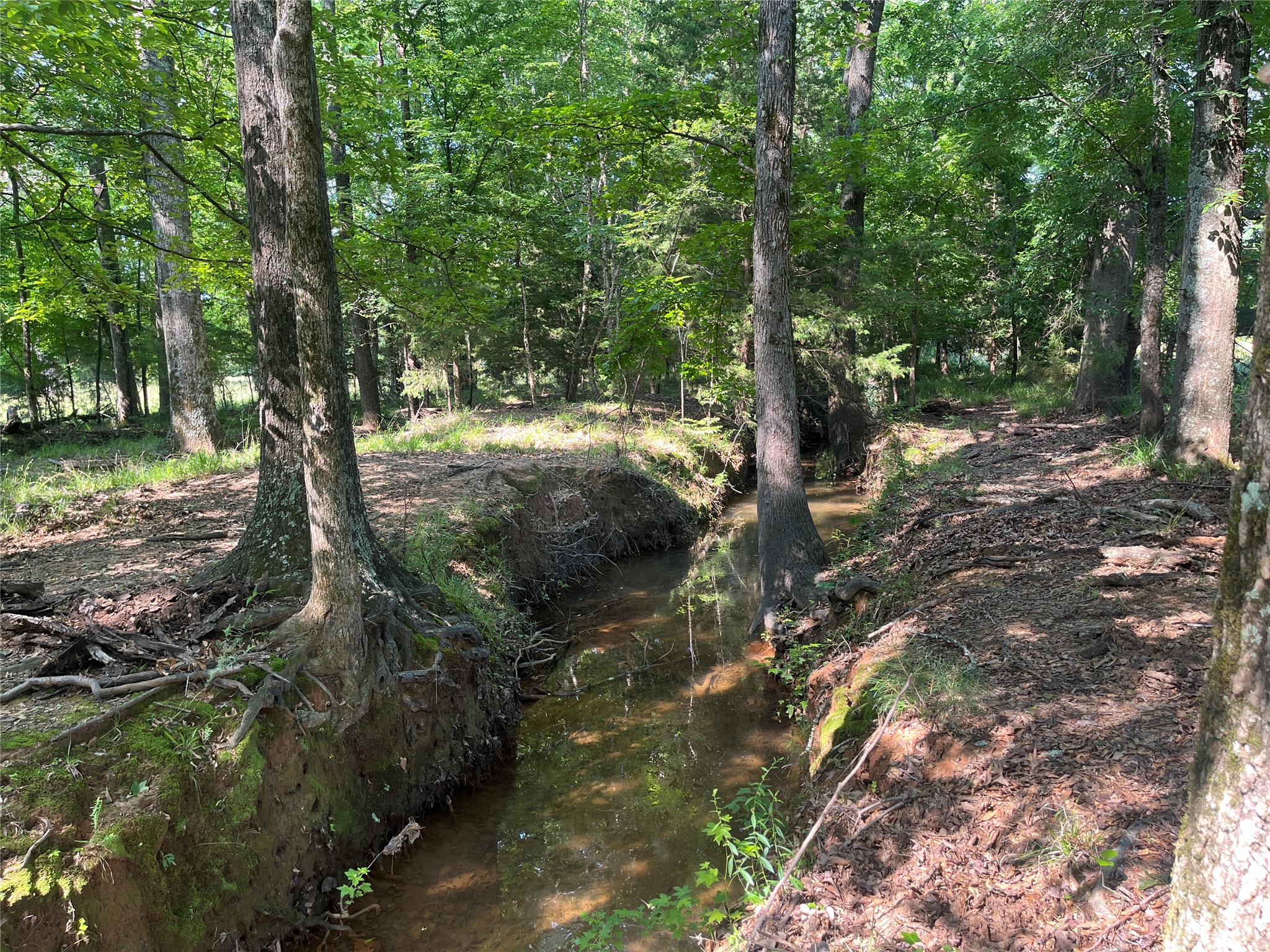 Tbd Highway 135 Troup TX 75789