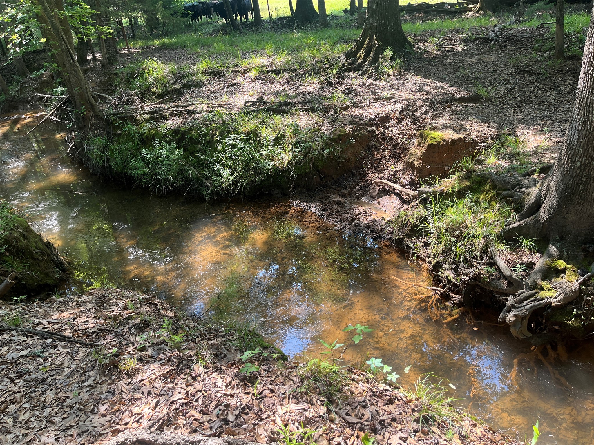 Tbd Highway 135 Troup TX 75789