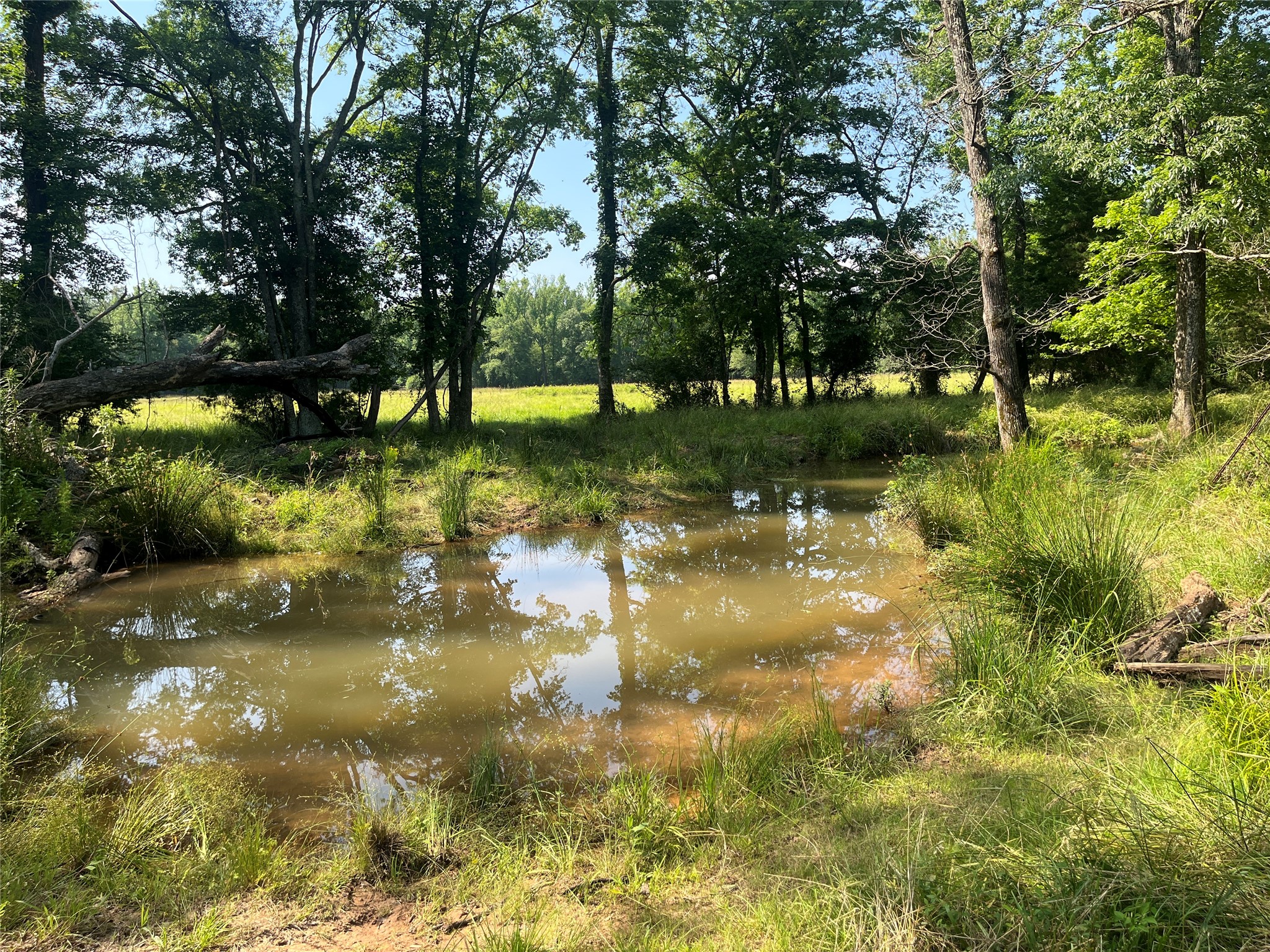 Tbd Highway 135 Troup TX 75789