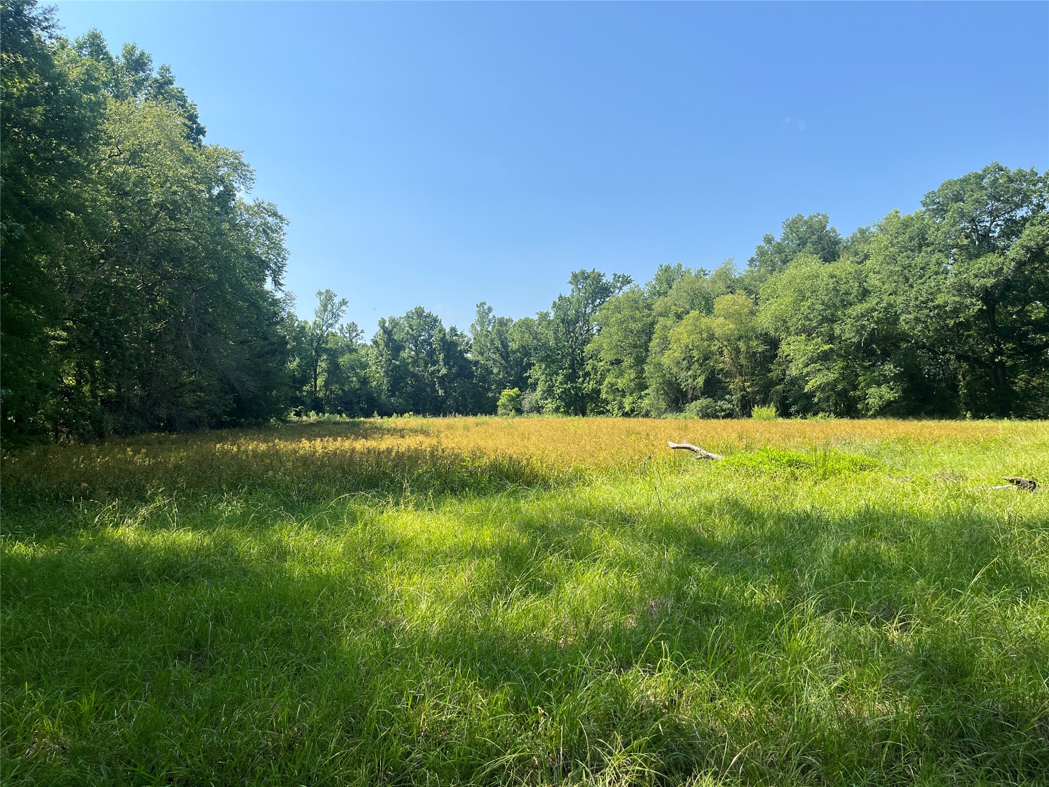 Tbd Highway 135 Troup TX 75789