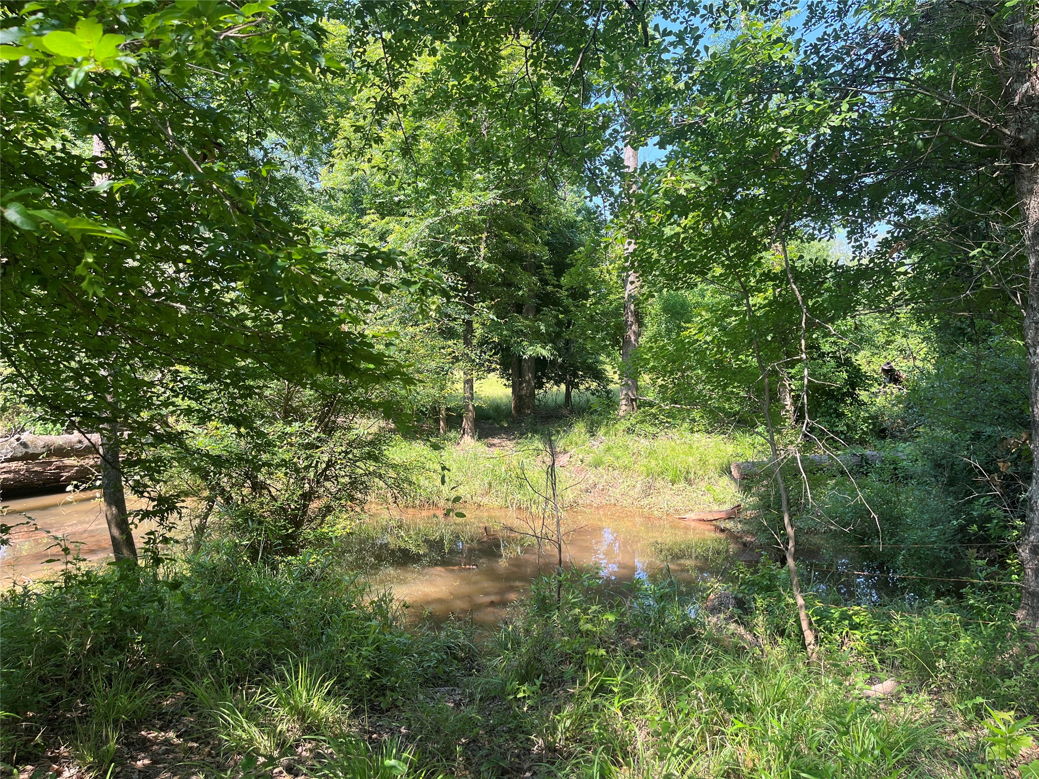 Tbd Highway 135 Troup TX 75789