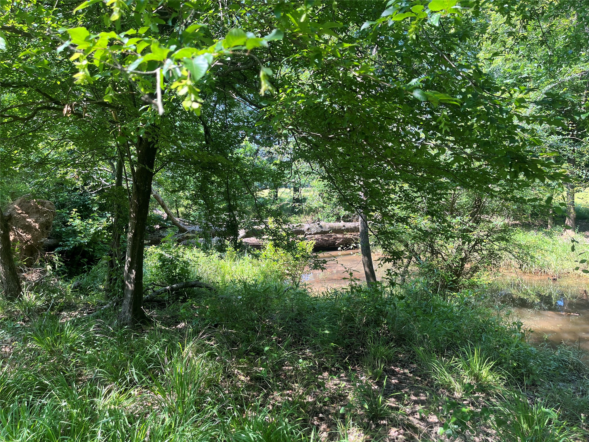 Tbd Highway 135 Troup TX 75789