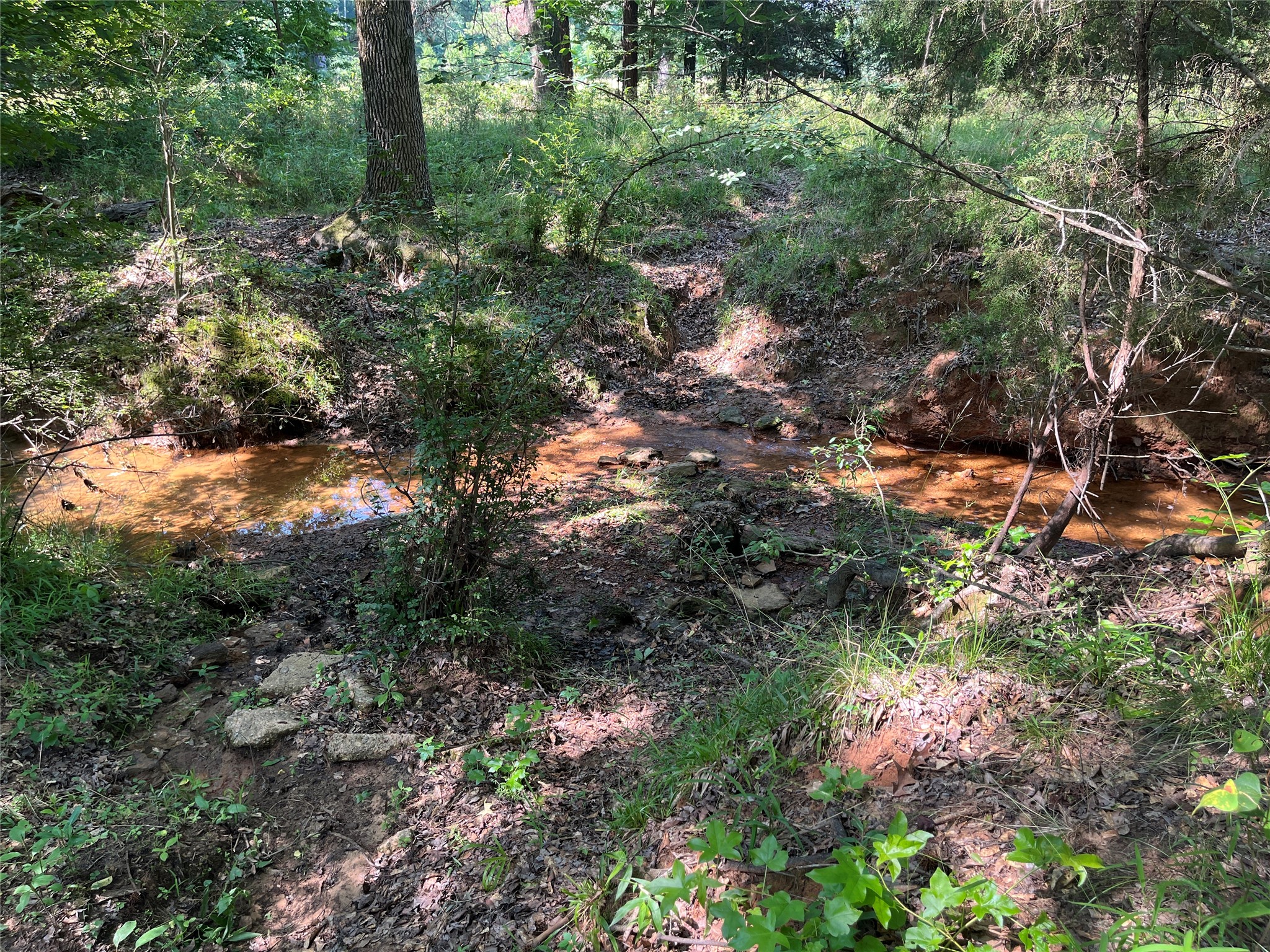Tbd Highway 135 Troup TX 75789