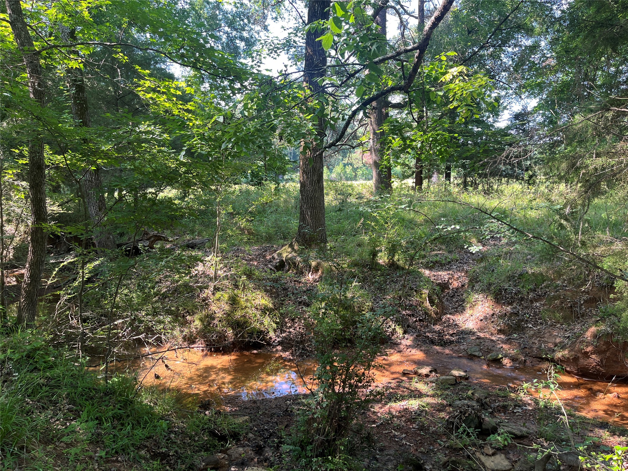 Tbd Highway 135 Troup TX 75789