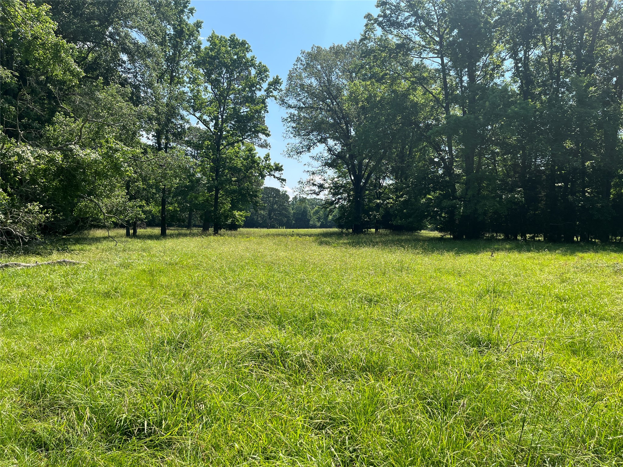 Tbd Highway 135 Troup TX 75789