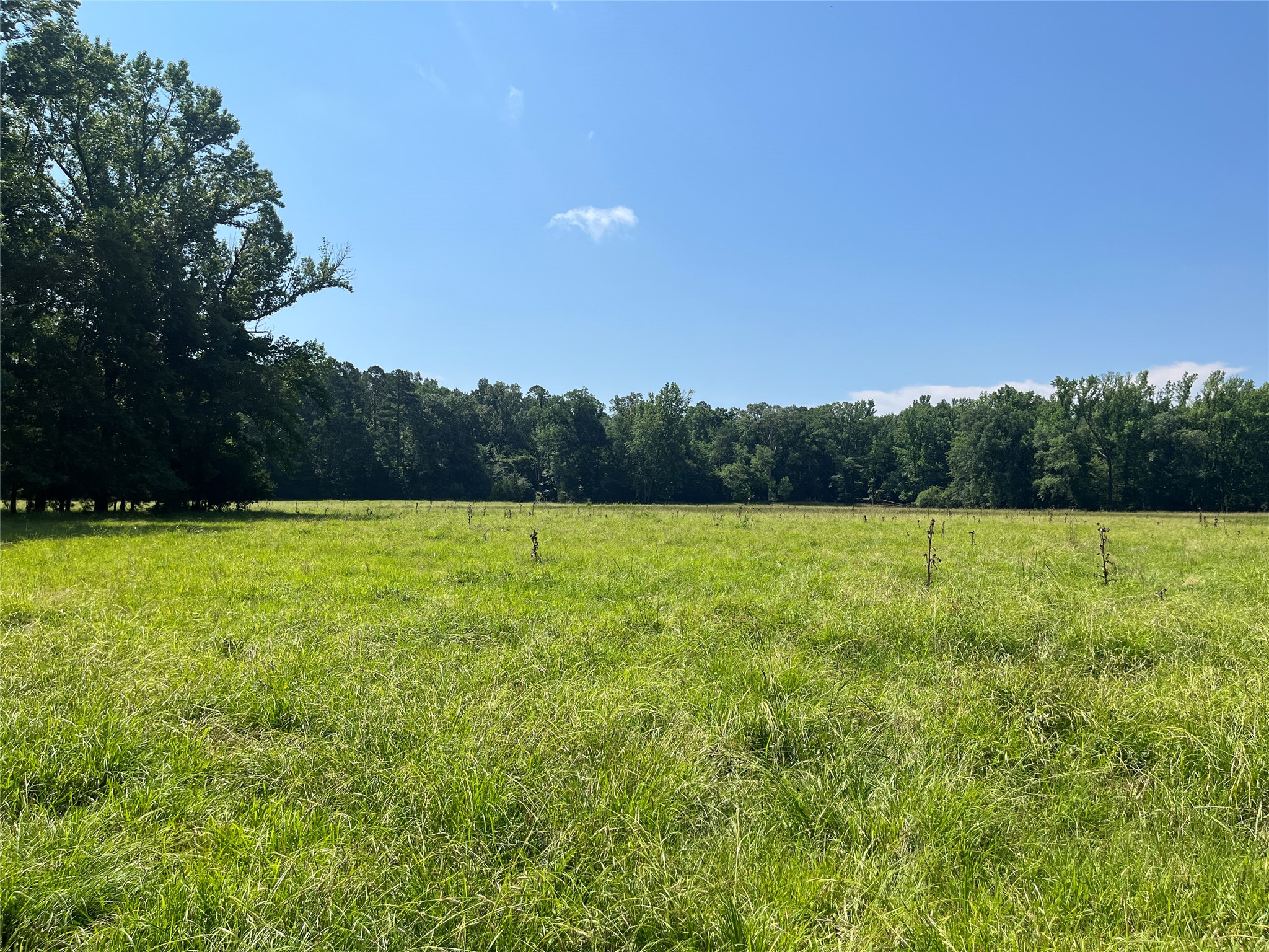 Tbd Highway 135 Troup TX 75789