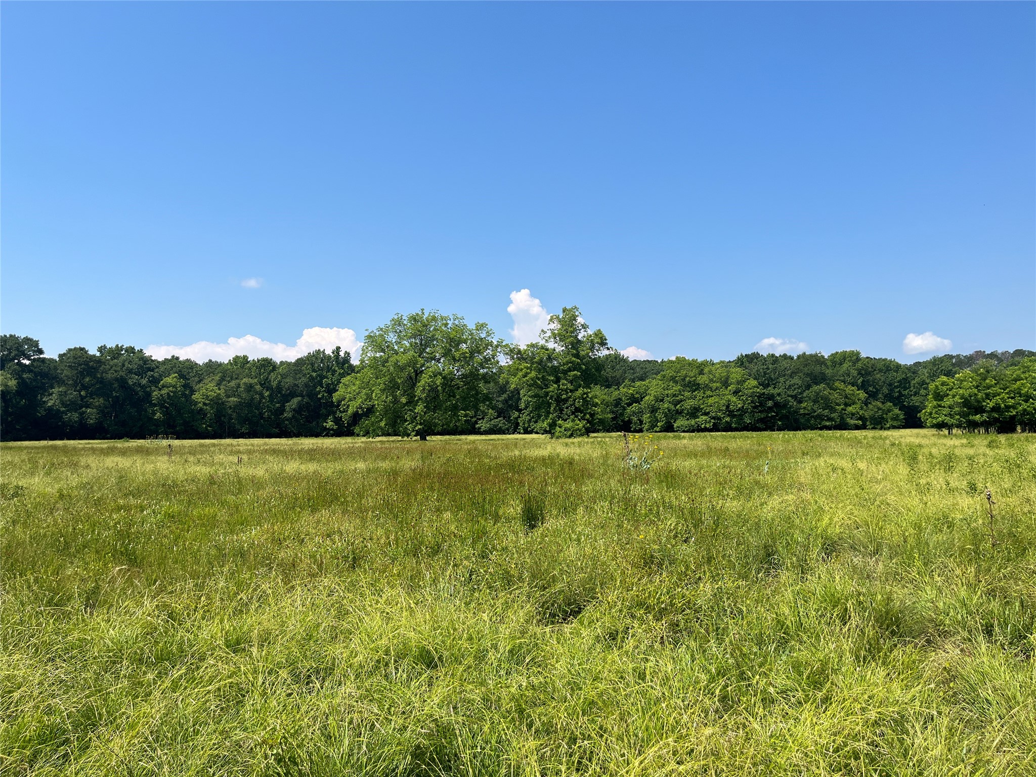 Tbd Highway 135 Troup TX 75789
