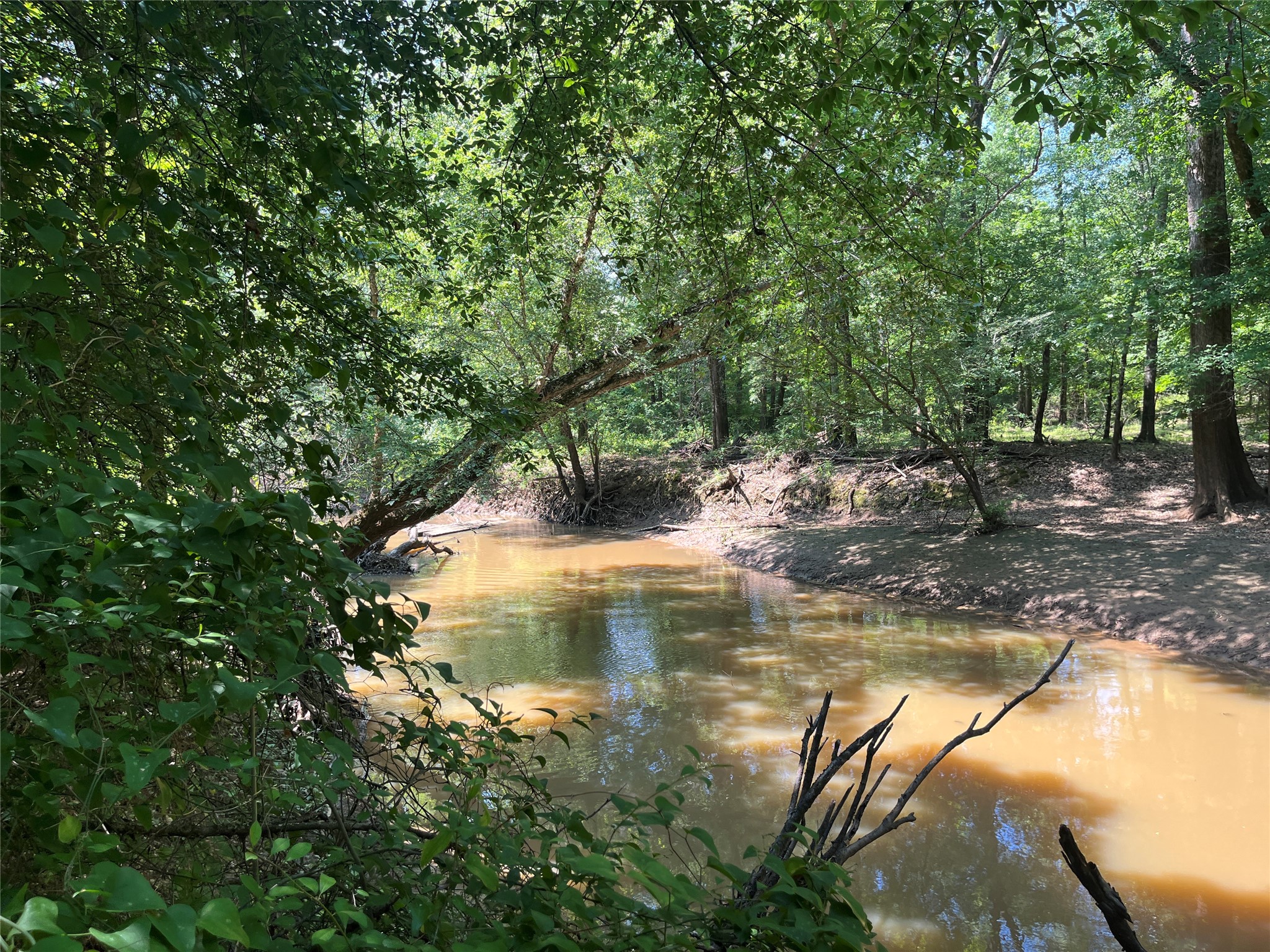 Tbd Highway 135 Troup TX 75789