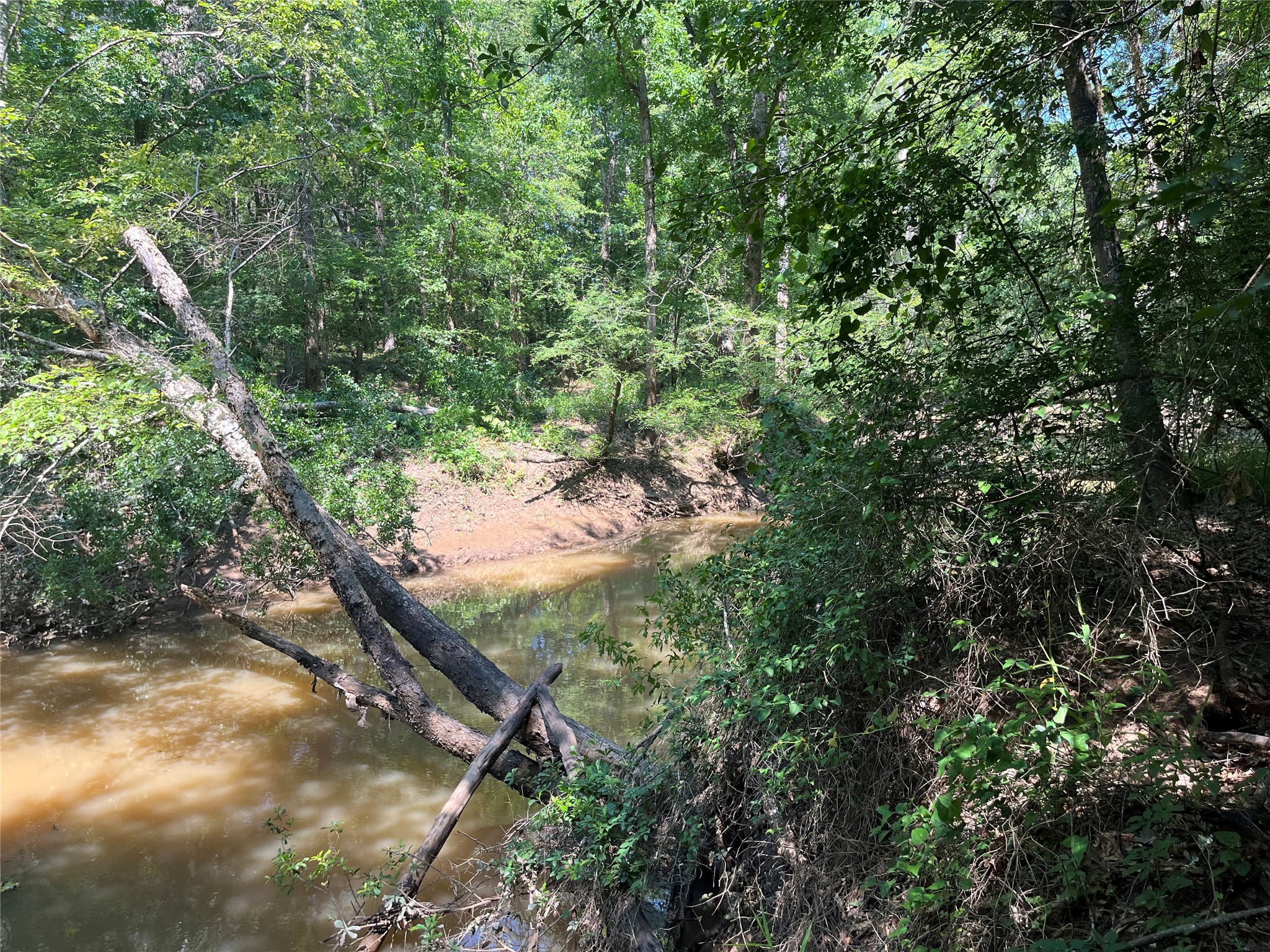Tbd Highway 135 Troup TX 75789