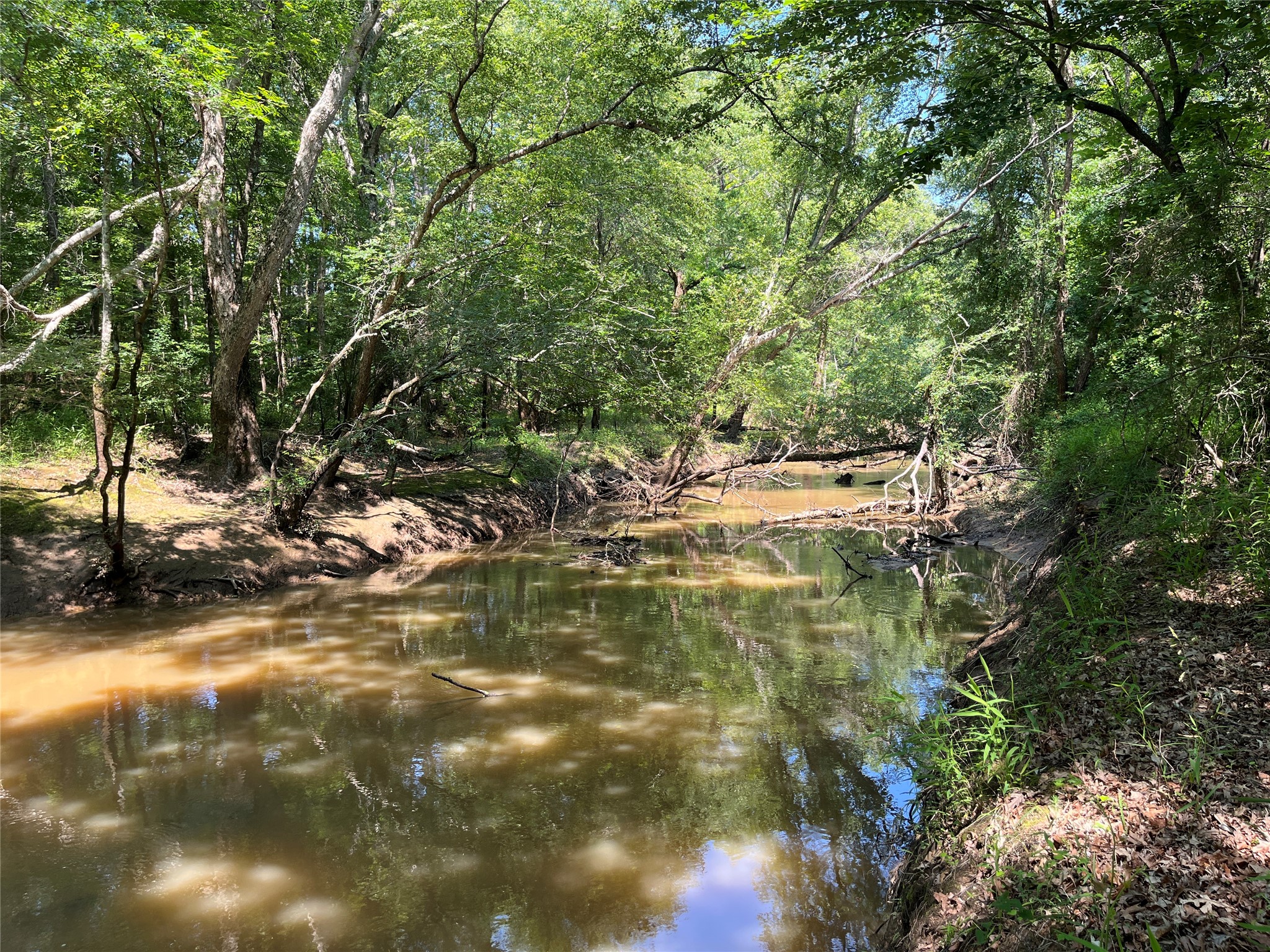Tbd Highway 135 Troup TX 75789