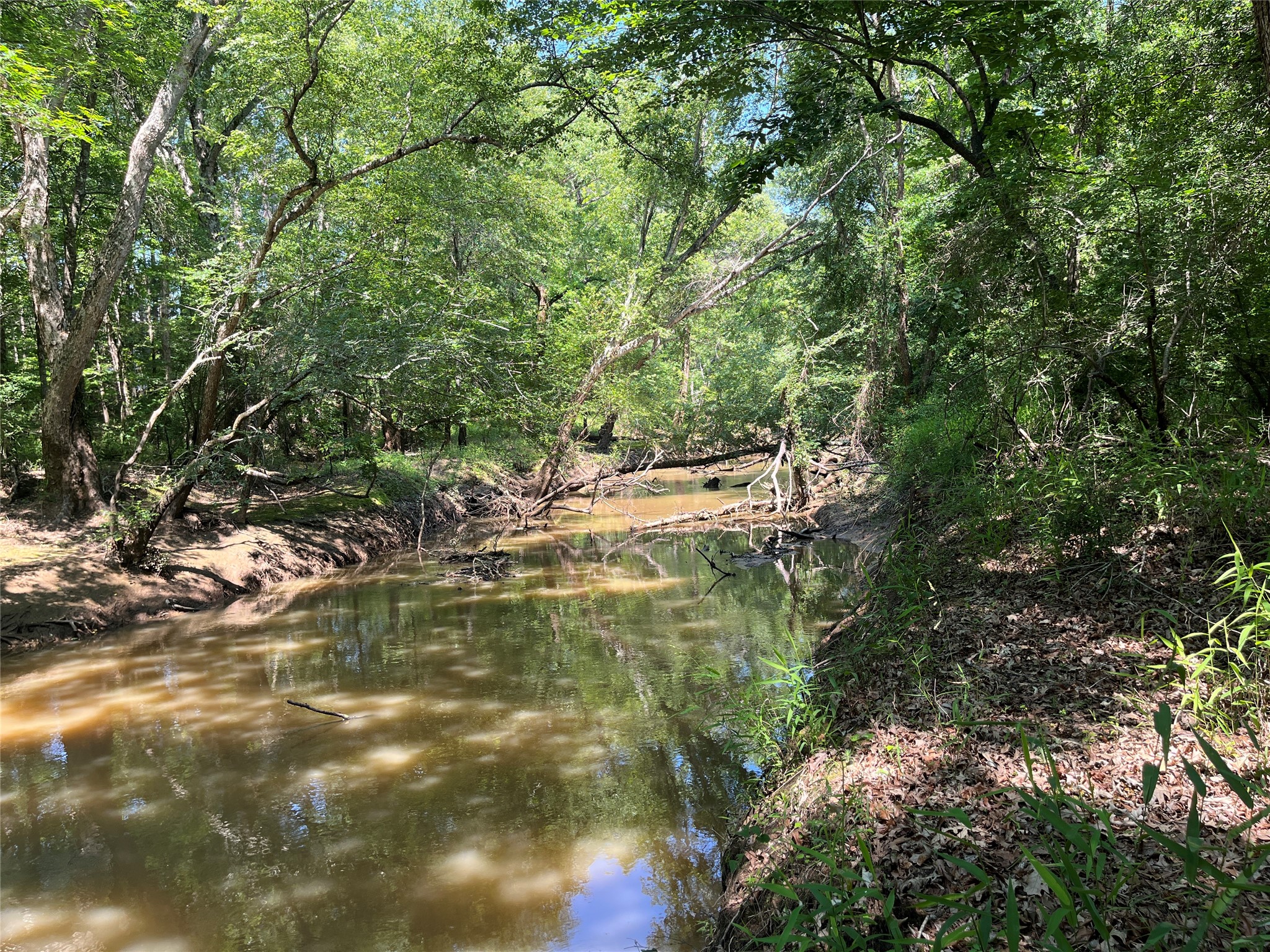 Tbd Highway 135 Troup TX 75789
