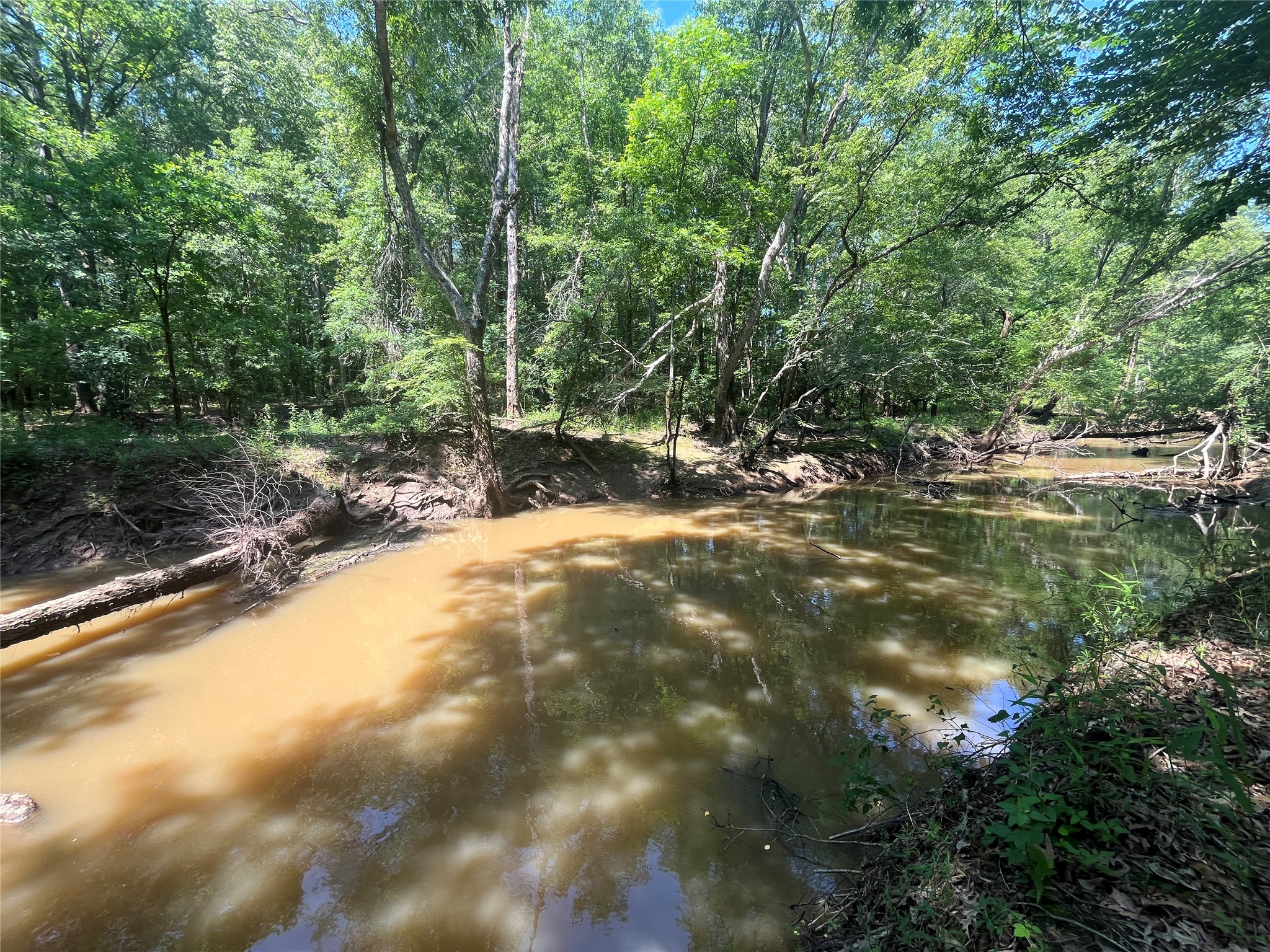 Tbd Highway 135 Troup TX 75789