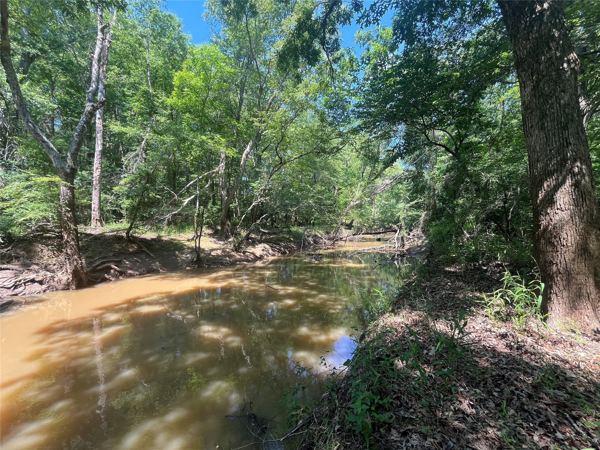 Tbd Highway 135 Troup TX 75789