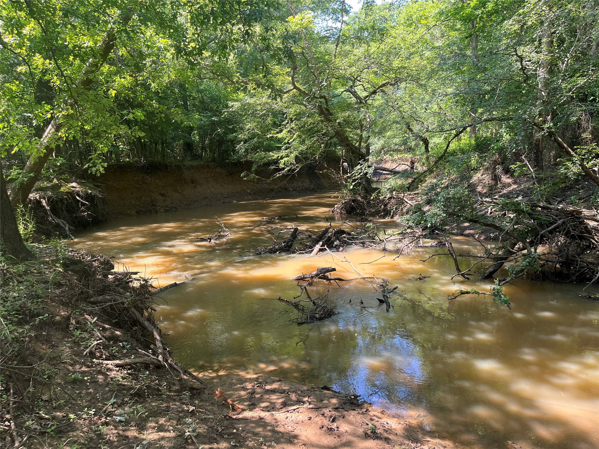 Tbd Highway 135 Troup TX 75789