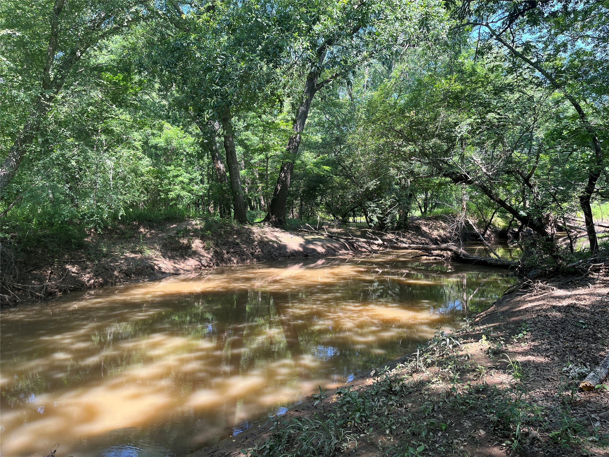 Tbd Highway 135 Troup TX 75789