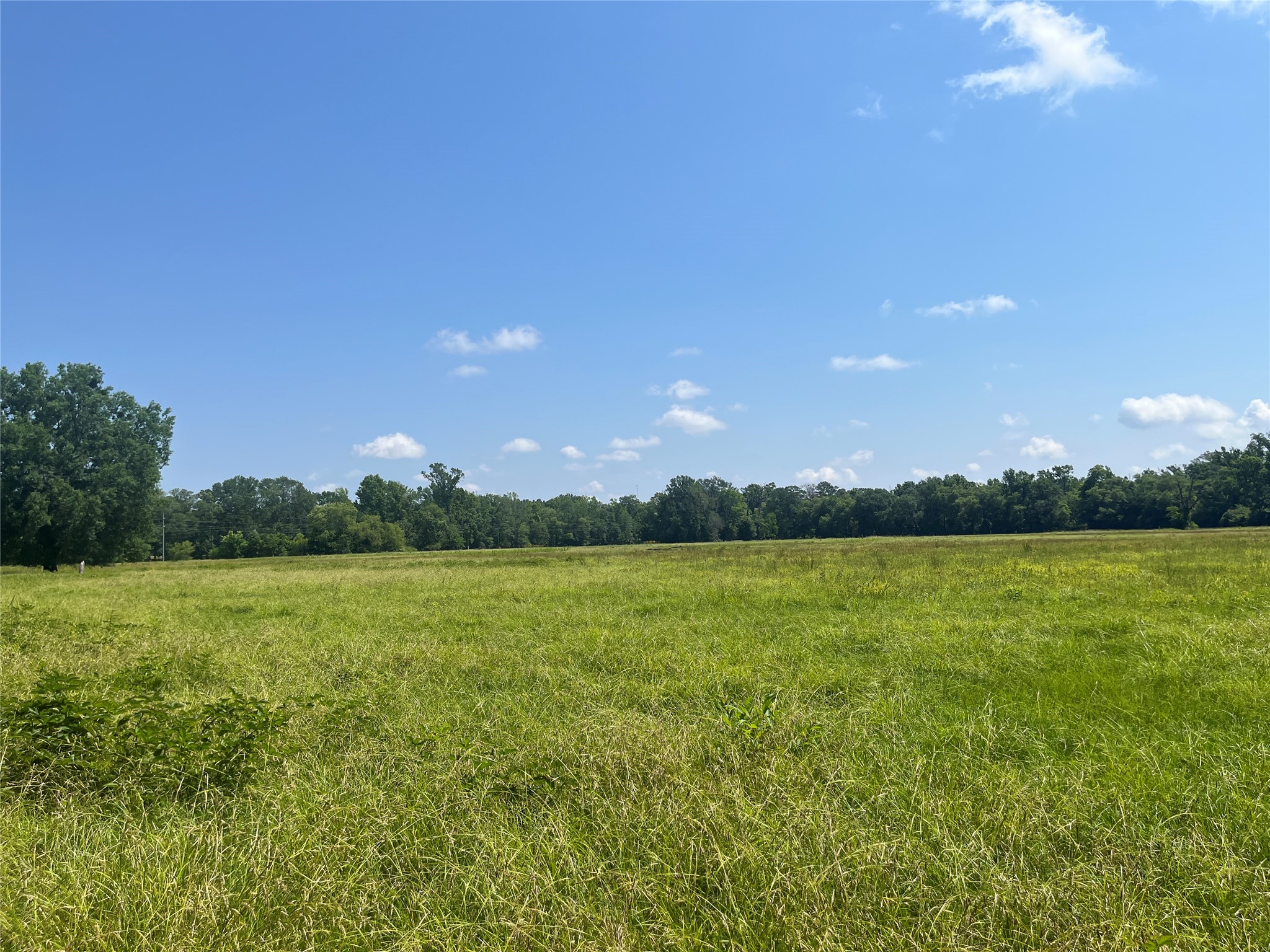 Tbd Highway 135 Troup TX 75789