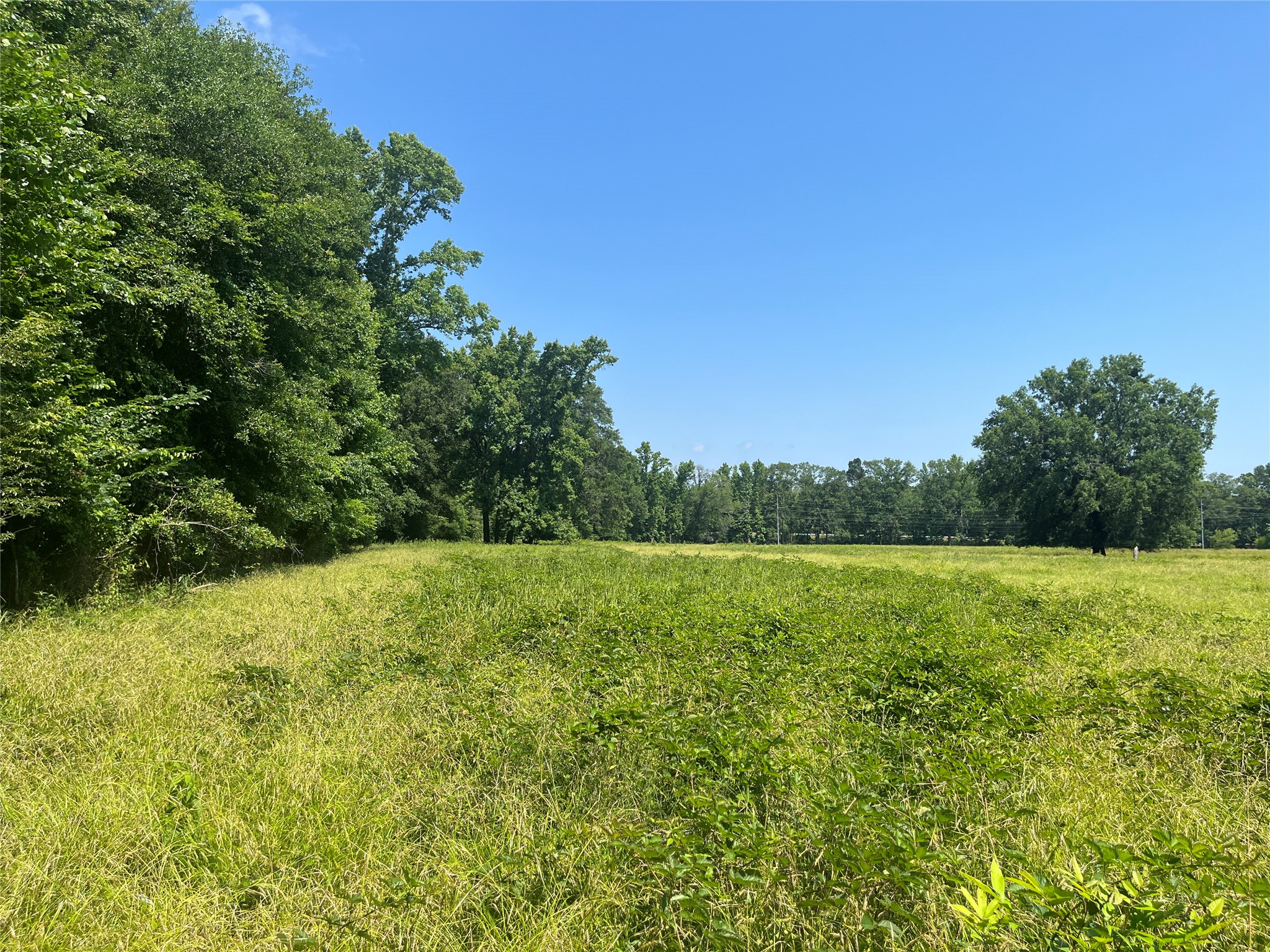 Tbd Highway 135 Troup TX 75789