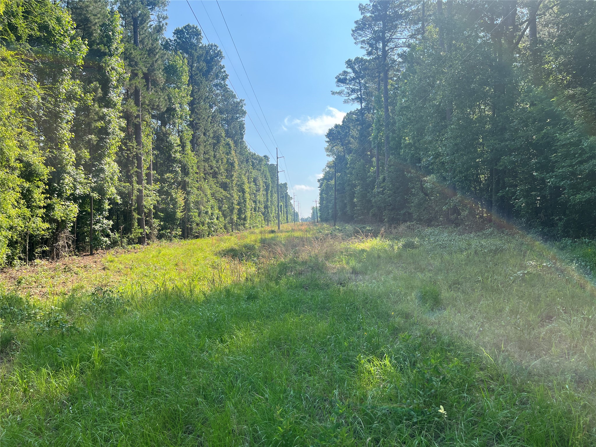 Tbd Highway 135 Troup TX 75789