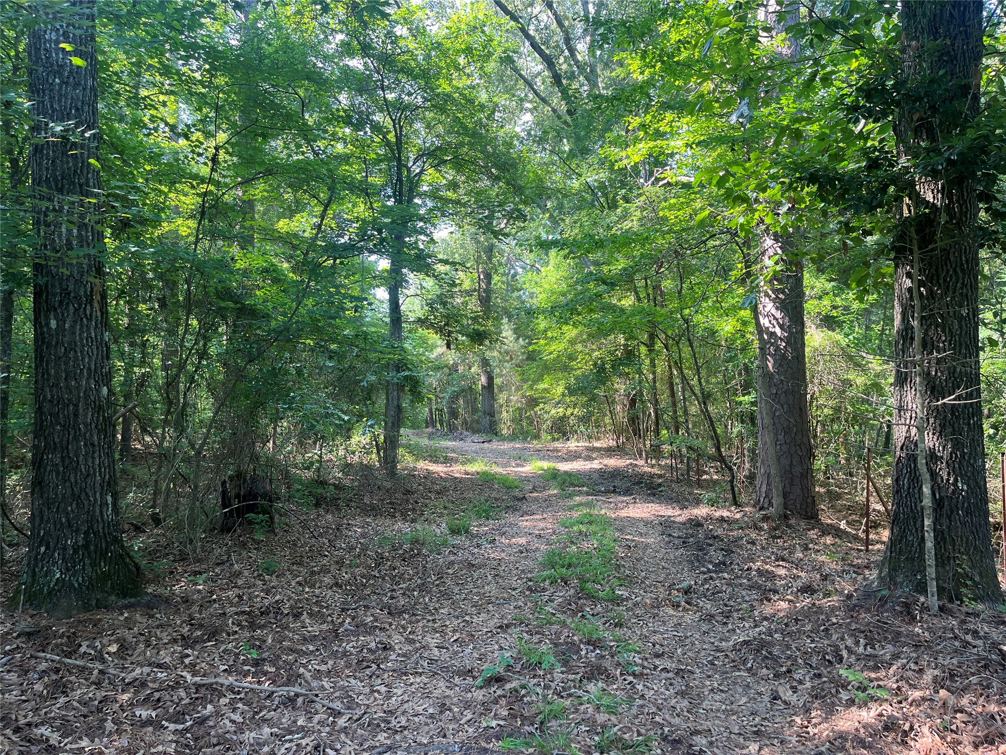 Tbd Highway 135 Troup TX 75789