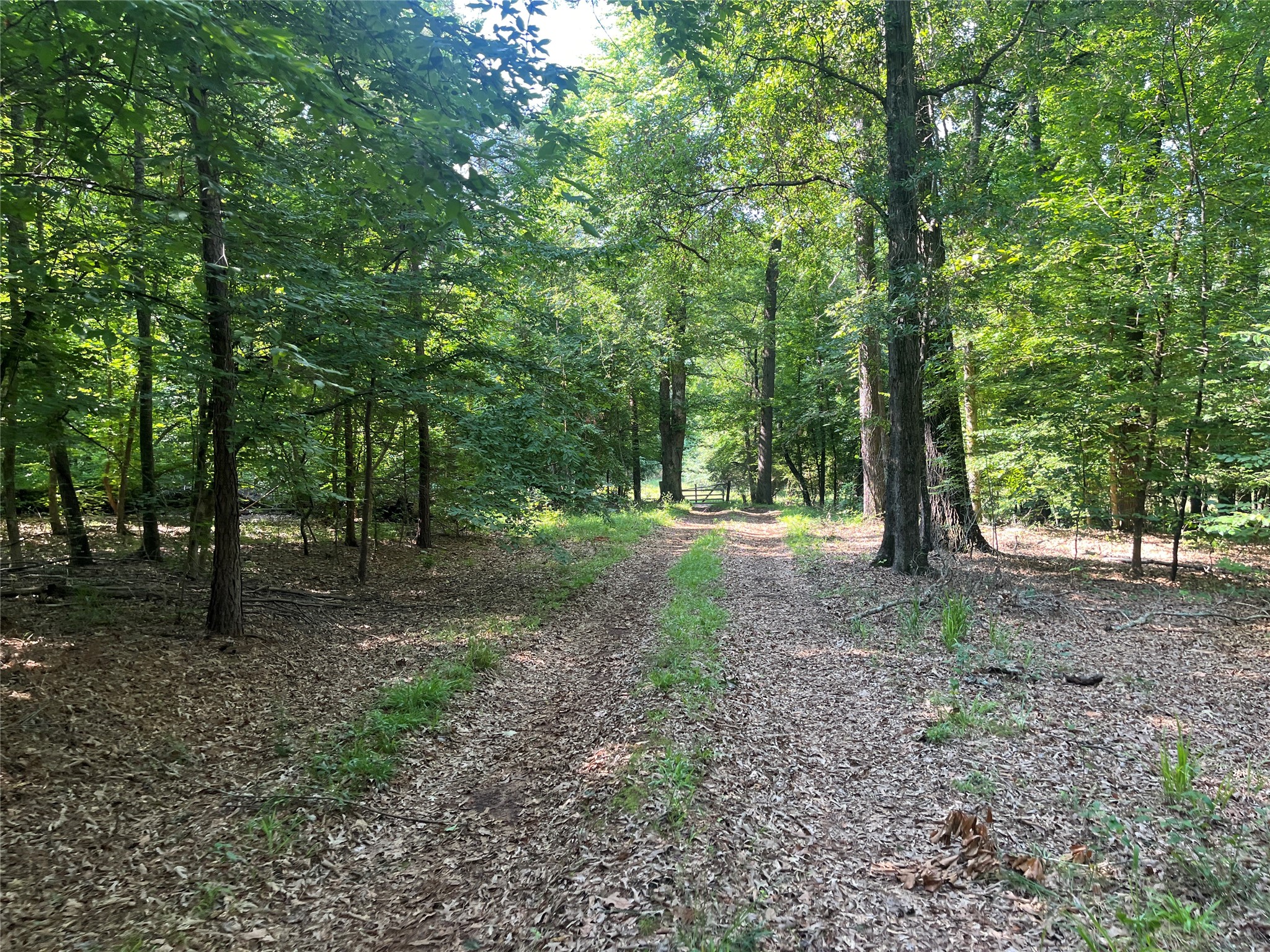 Tbd Highway 135 Troup TX 75789