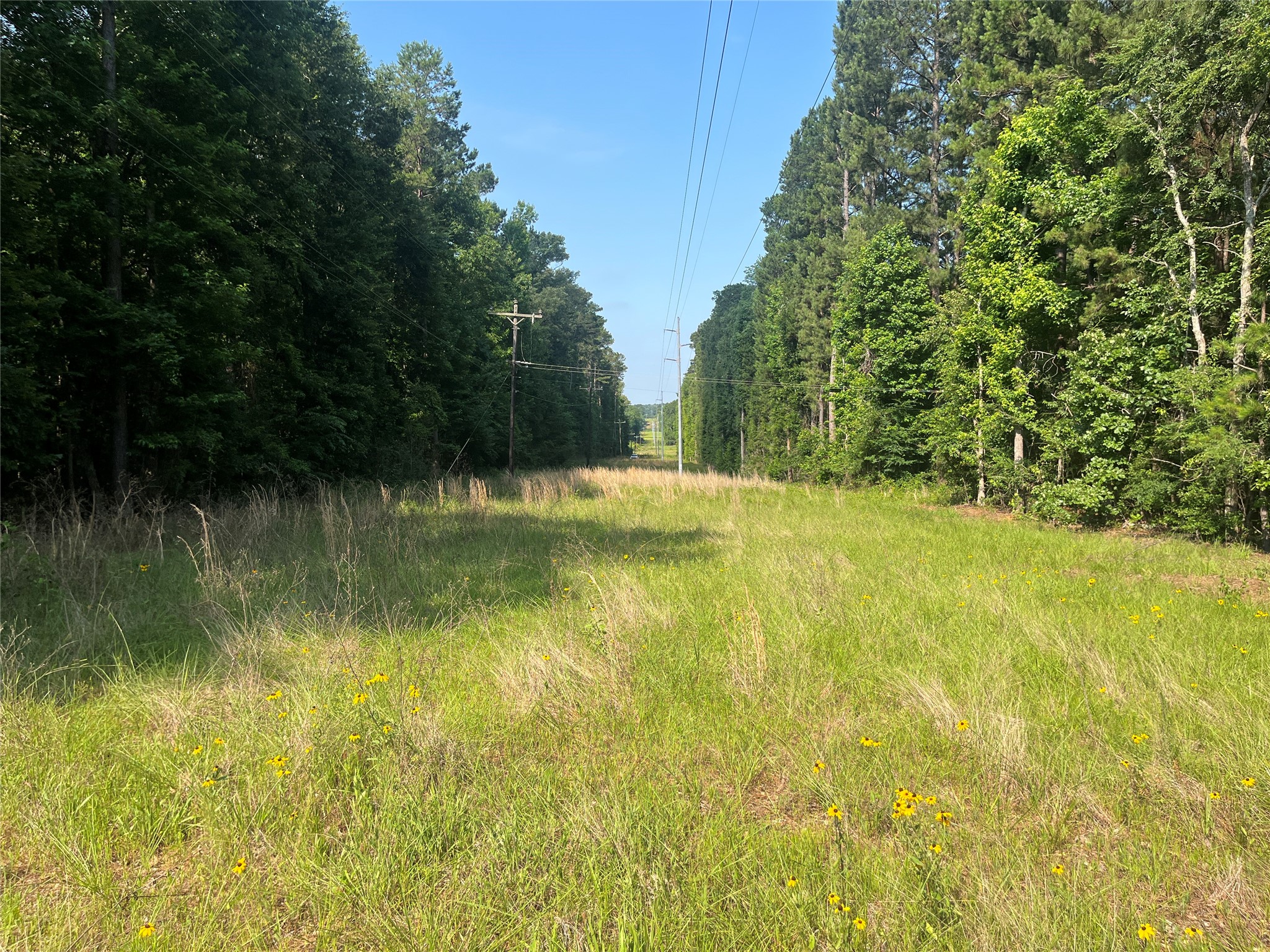 Tbd Highway 135 Troup TX 75789