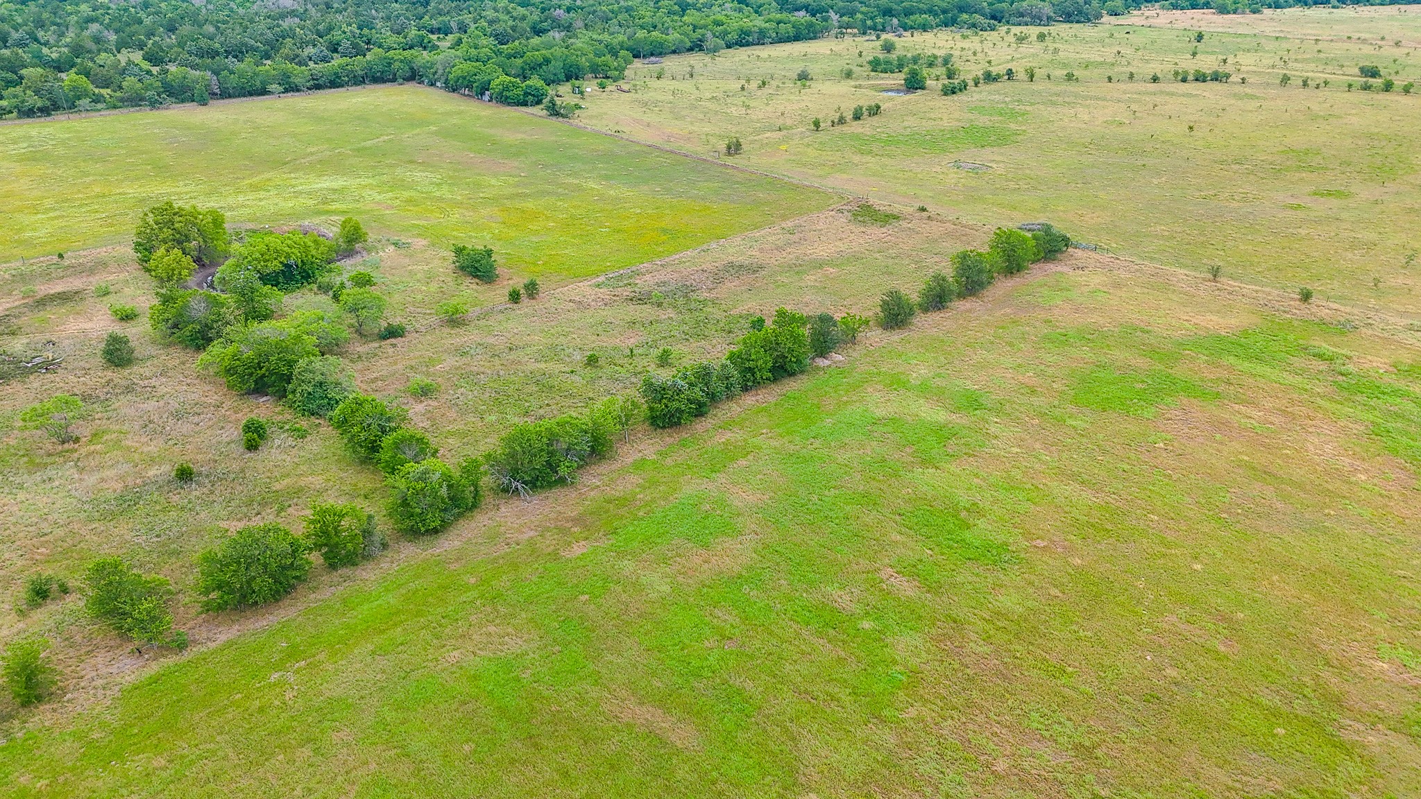 8365 Fm 642 Purdon TX 76679
