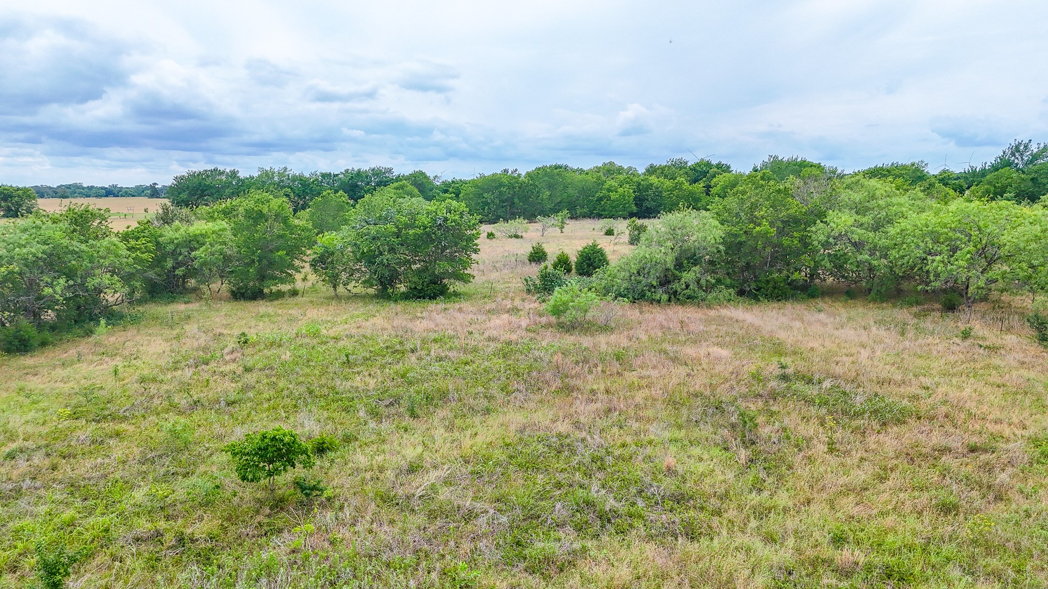 8365 Fm 642 Purdon TX 76679