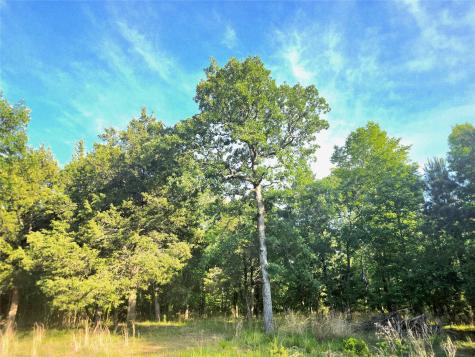 Lot 377 Timber Ridge Larue TX 75770