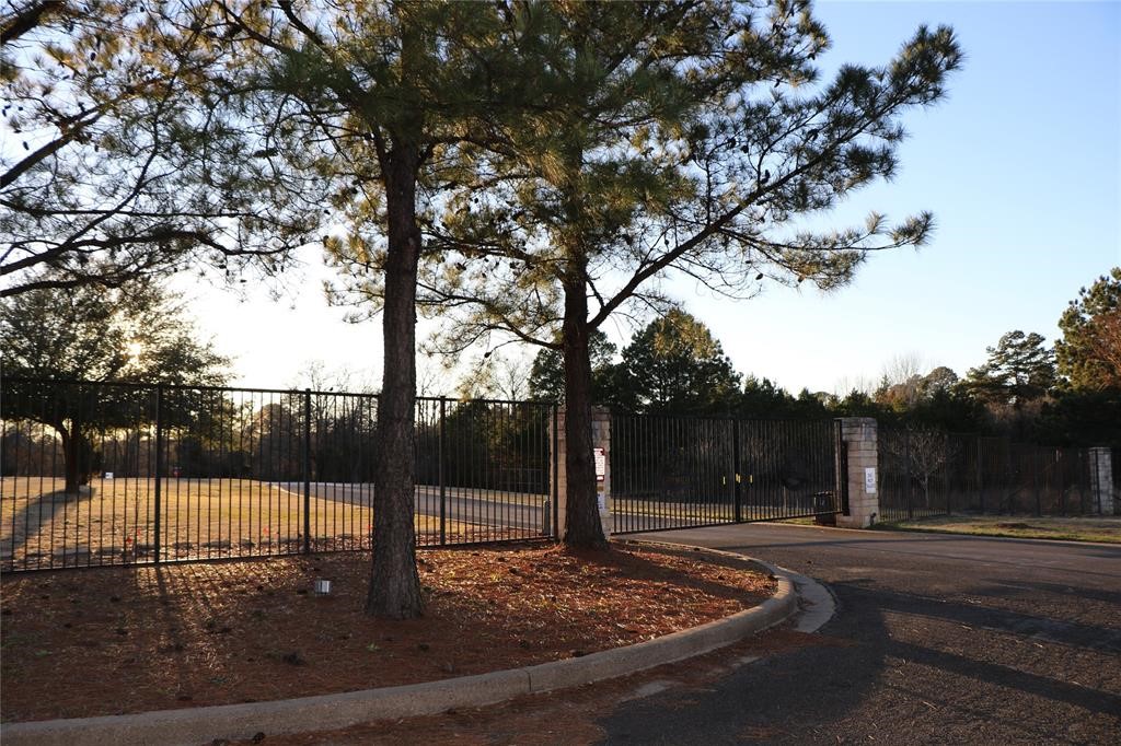 Lot 377 Timber Ridge Larue TX 75770