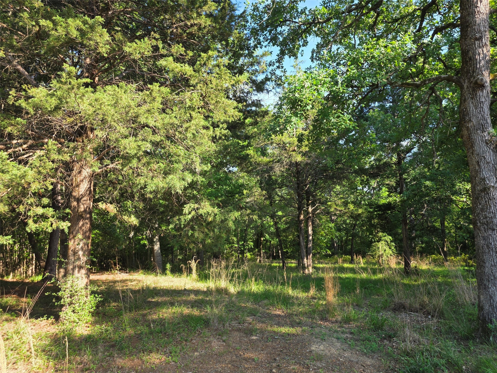 Lot 377 Timber Ridge Larue TX 75770