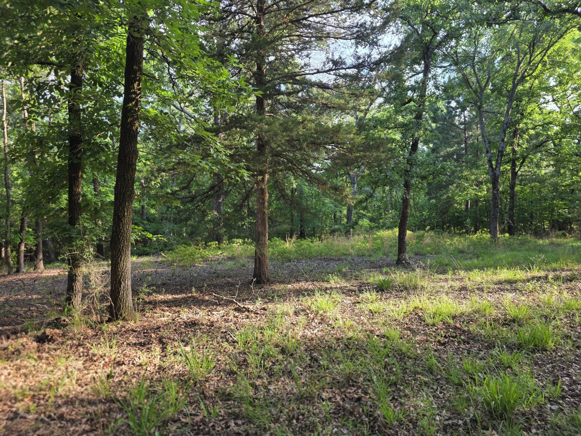 Lot 377 Timber Ridge Larue TX 75770
