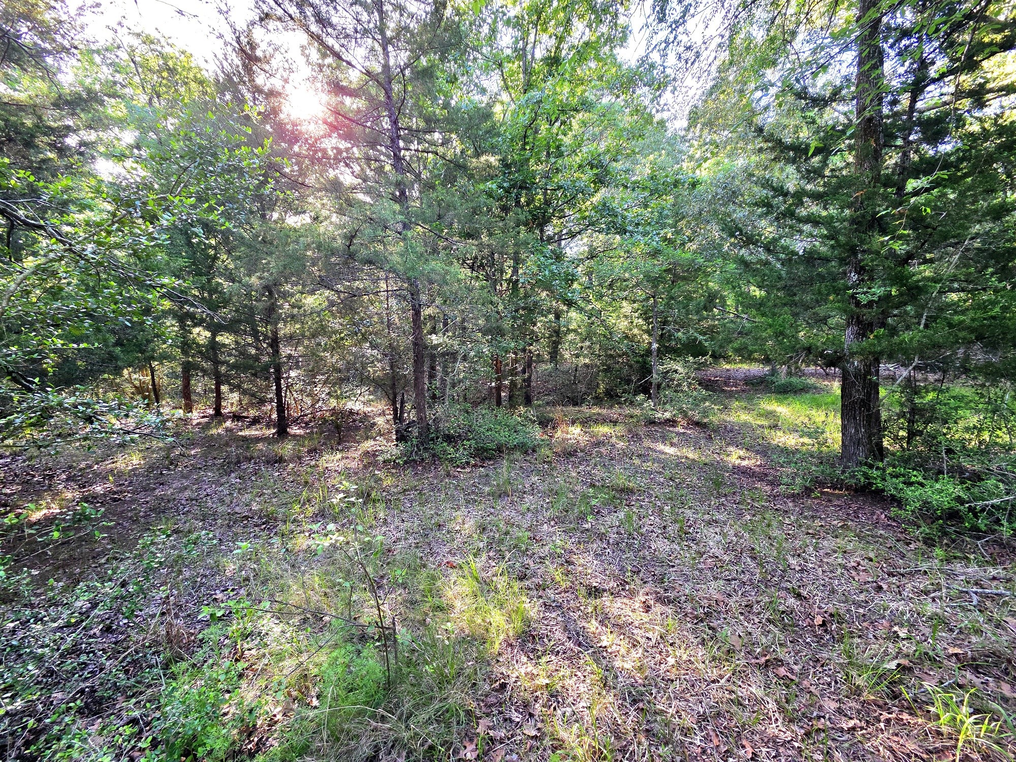 Lot 377 Timber Ridge Larue TX 75770