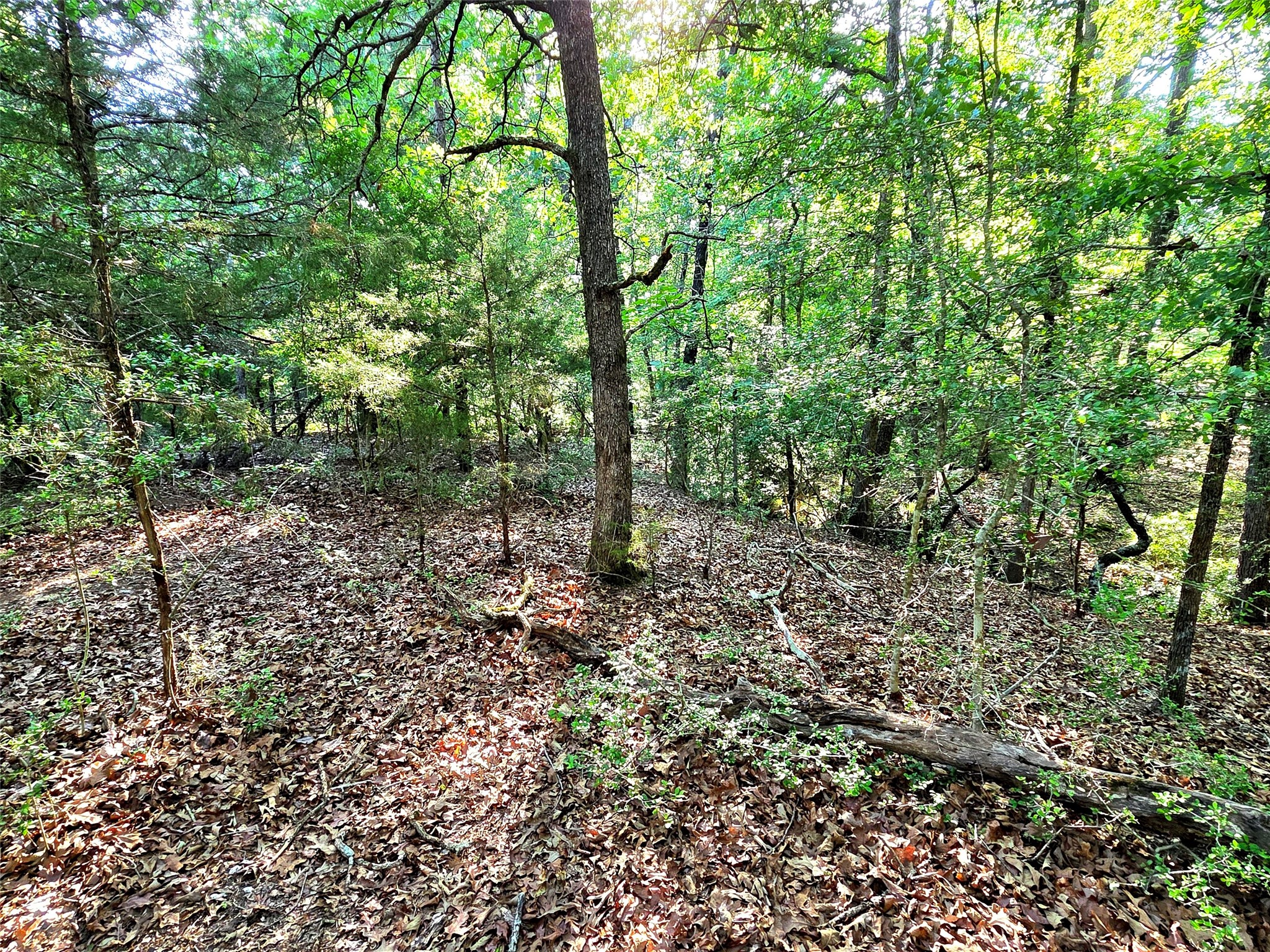 Lot 377 Timber Ridge Larue TX 75770